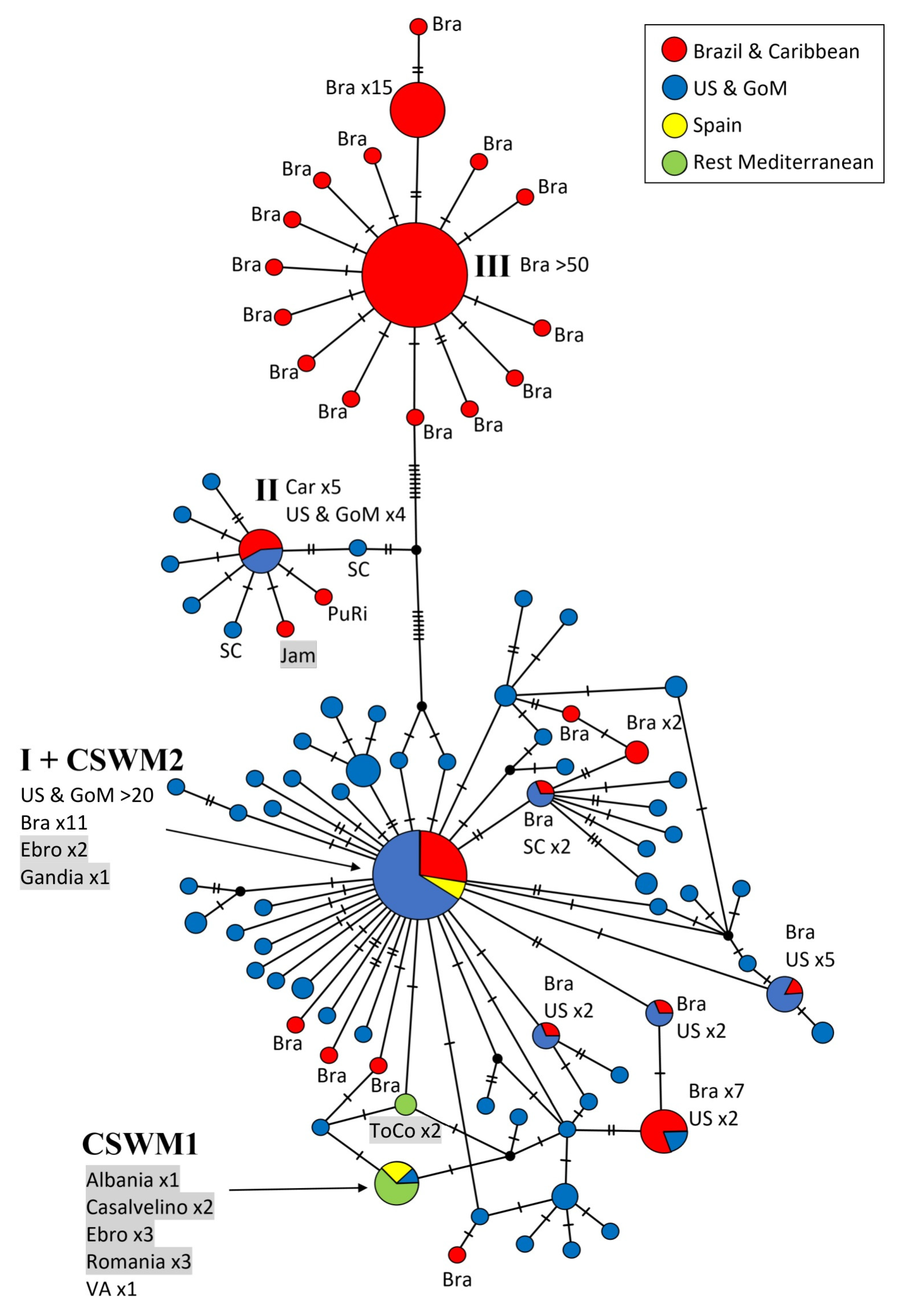 Biology 12 00035 g003