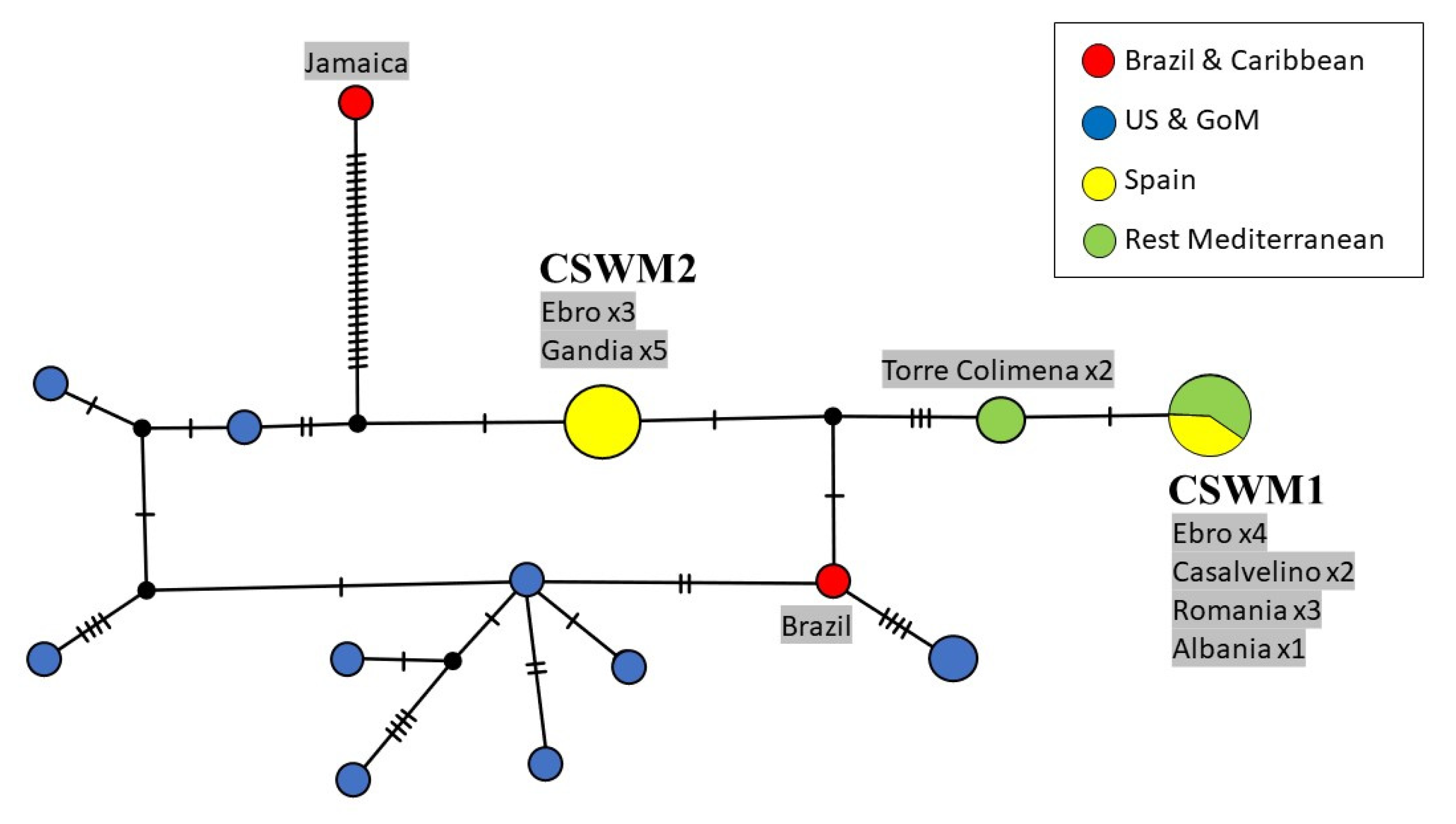 Biology 12 00035 g004
