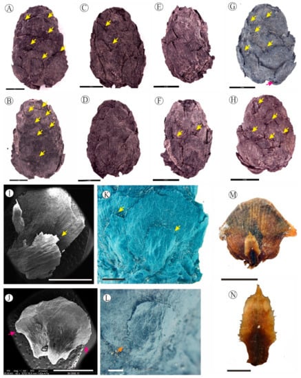 Biology 12 00046 g002
