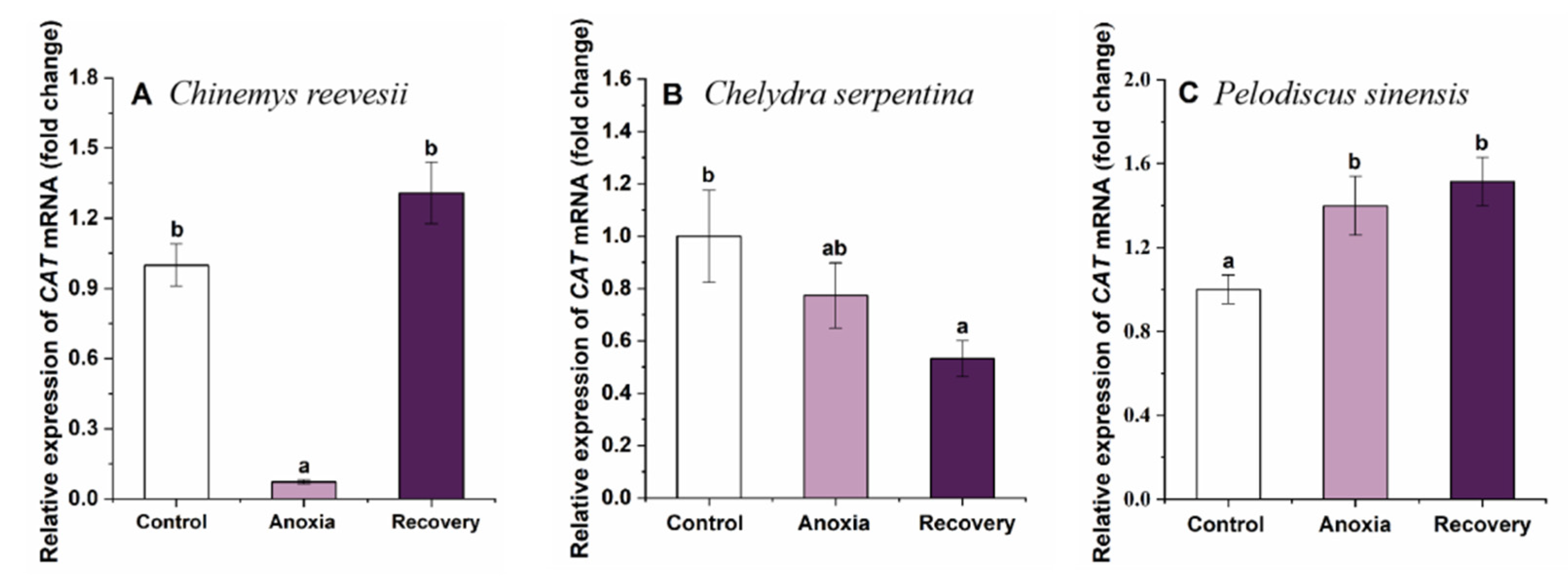 Biology 12 00050 g005 Biology 12 00050 g005