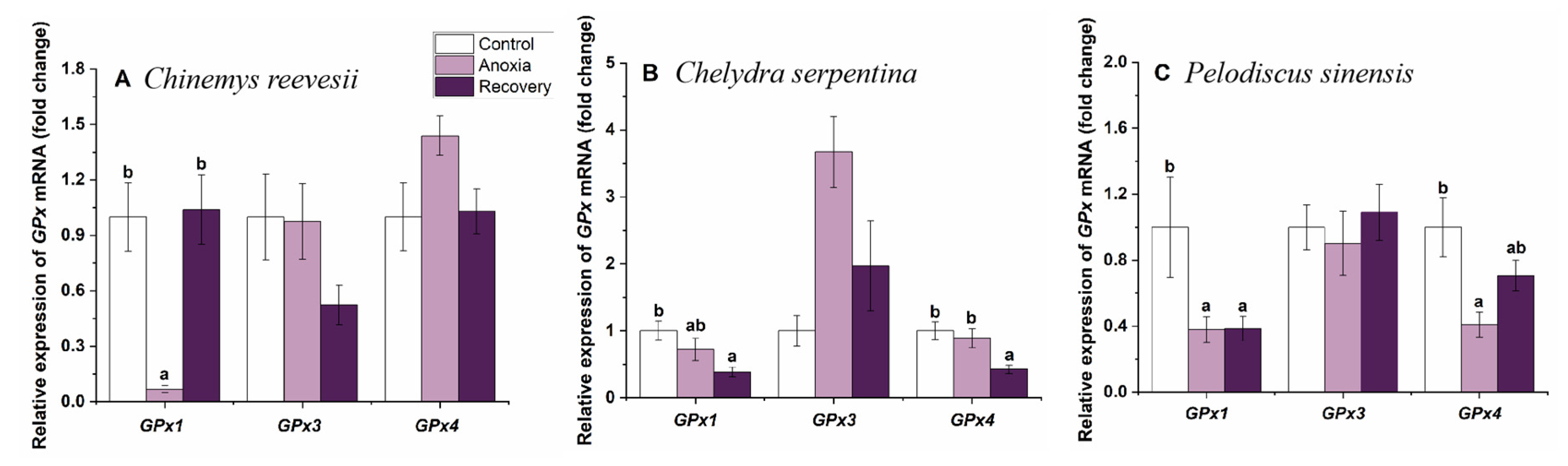 Biology 12 00050 g006 Biology 12 00050 g006