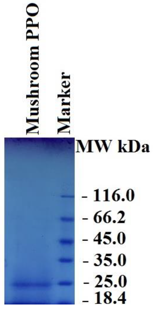 Biology 12 00053 g001 Biology 12 00053 g001
