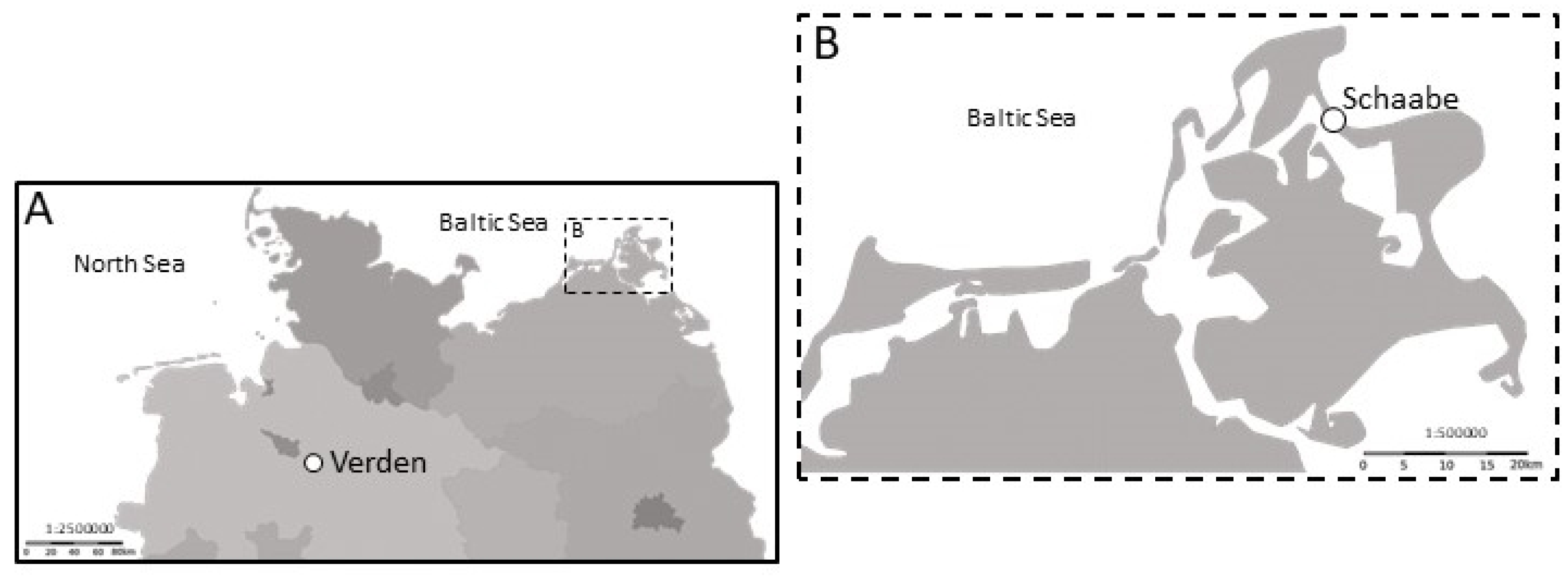 Biology 12 00058 g001