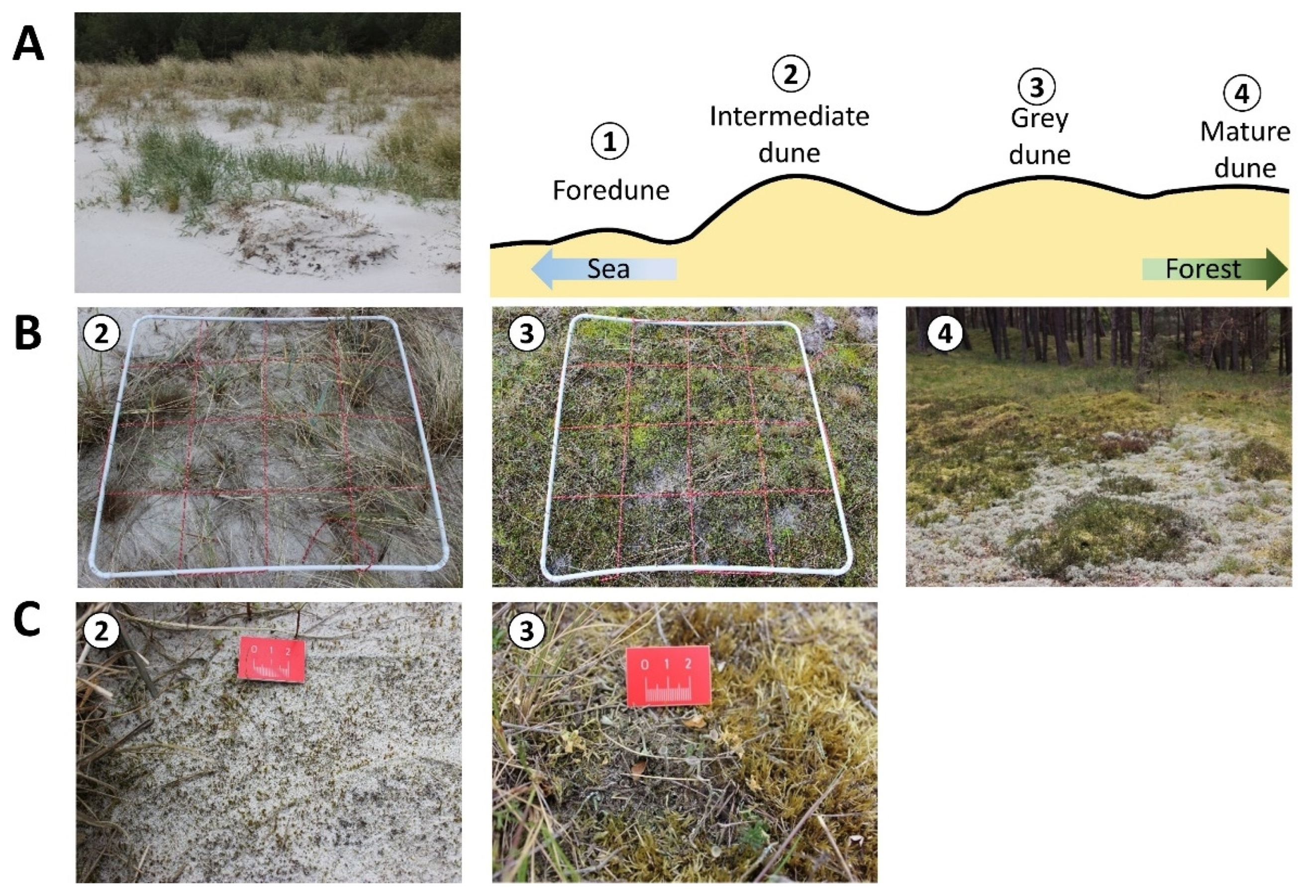 Biology 12 00058 g002