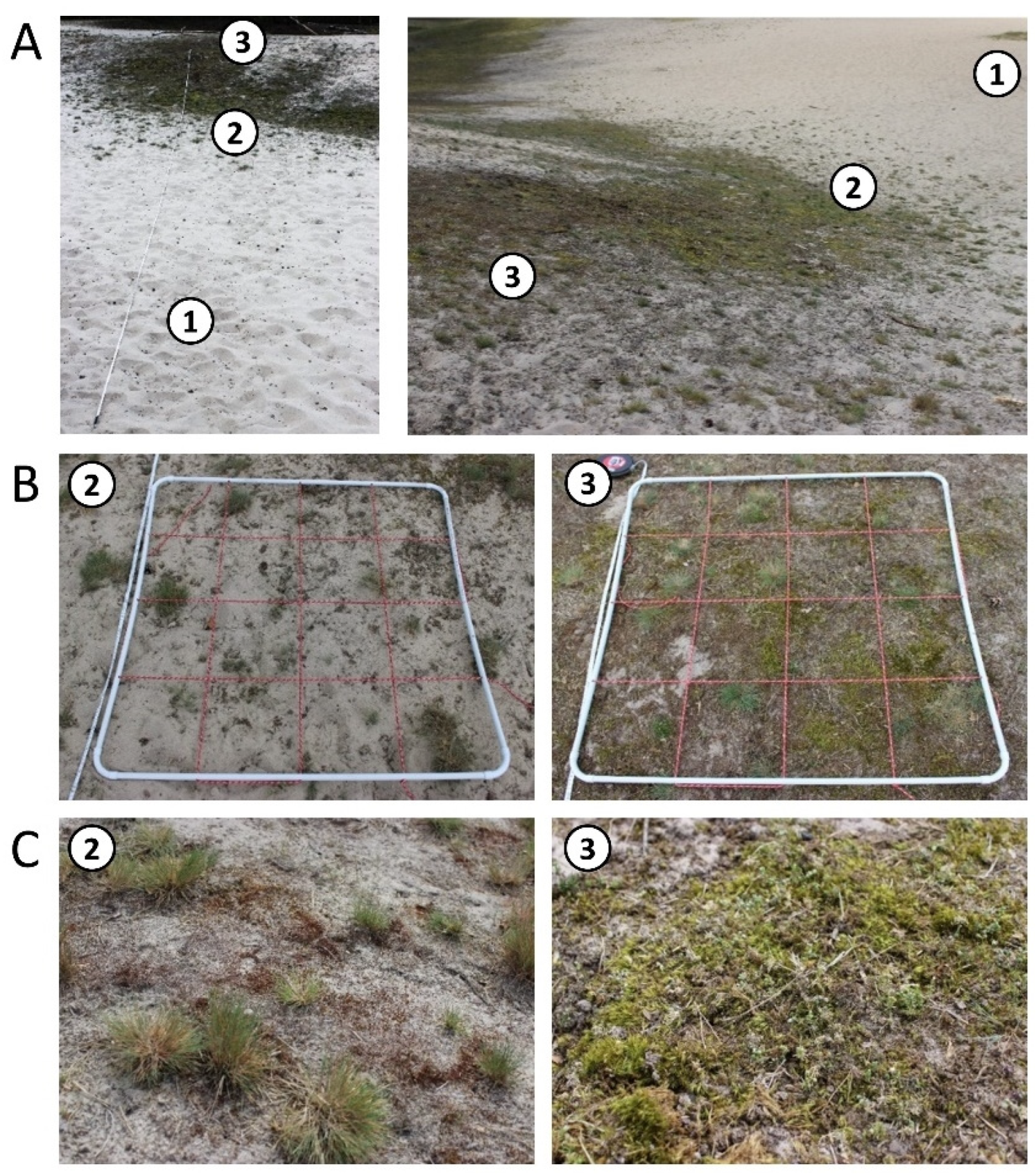 Biology 12 00058 g003