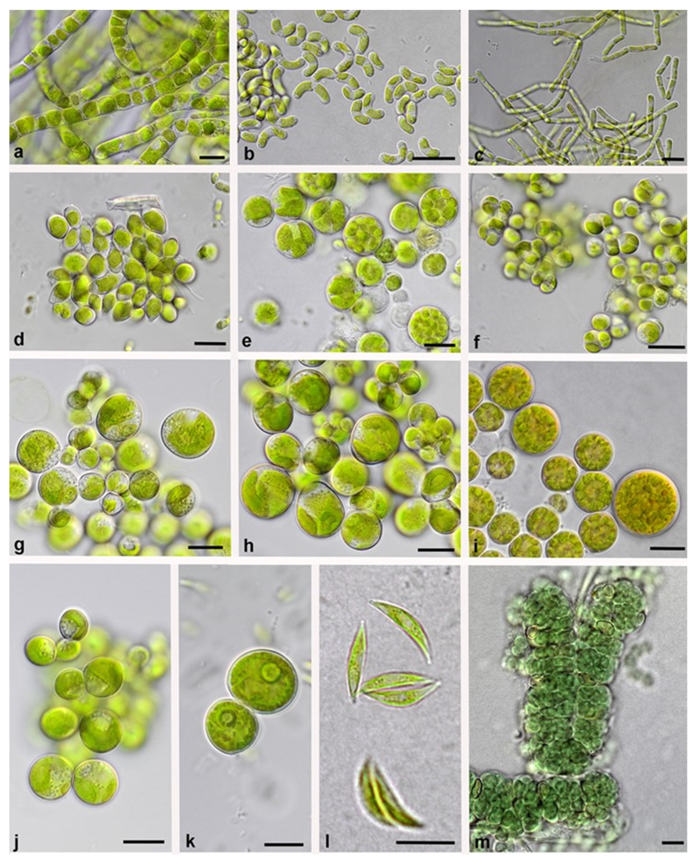 Biology 12 00058 g005