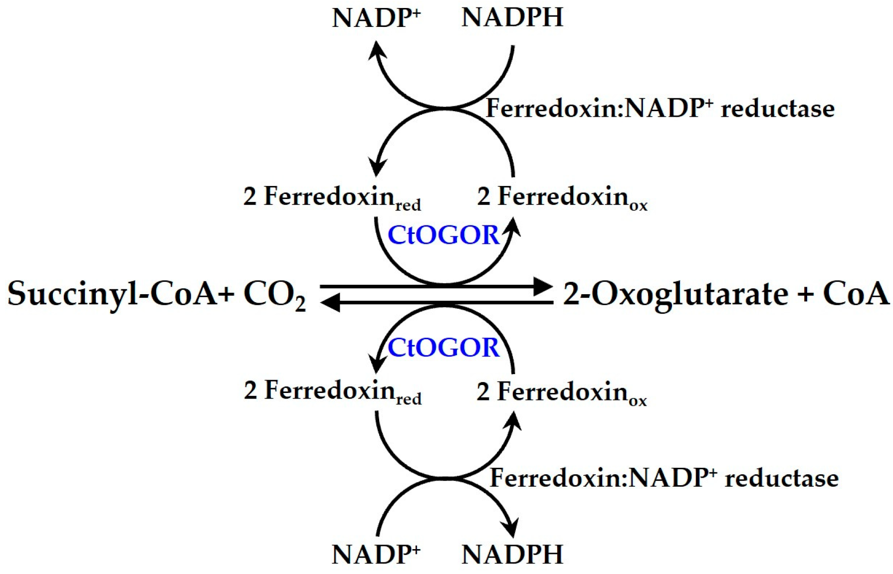 Biology 12 00059 g001 Biology 12 00059 g001