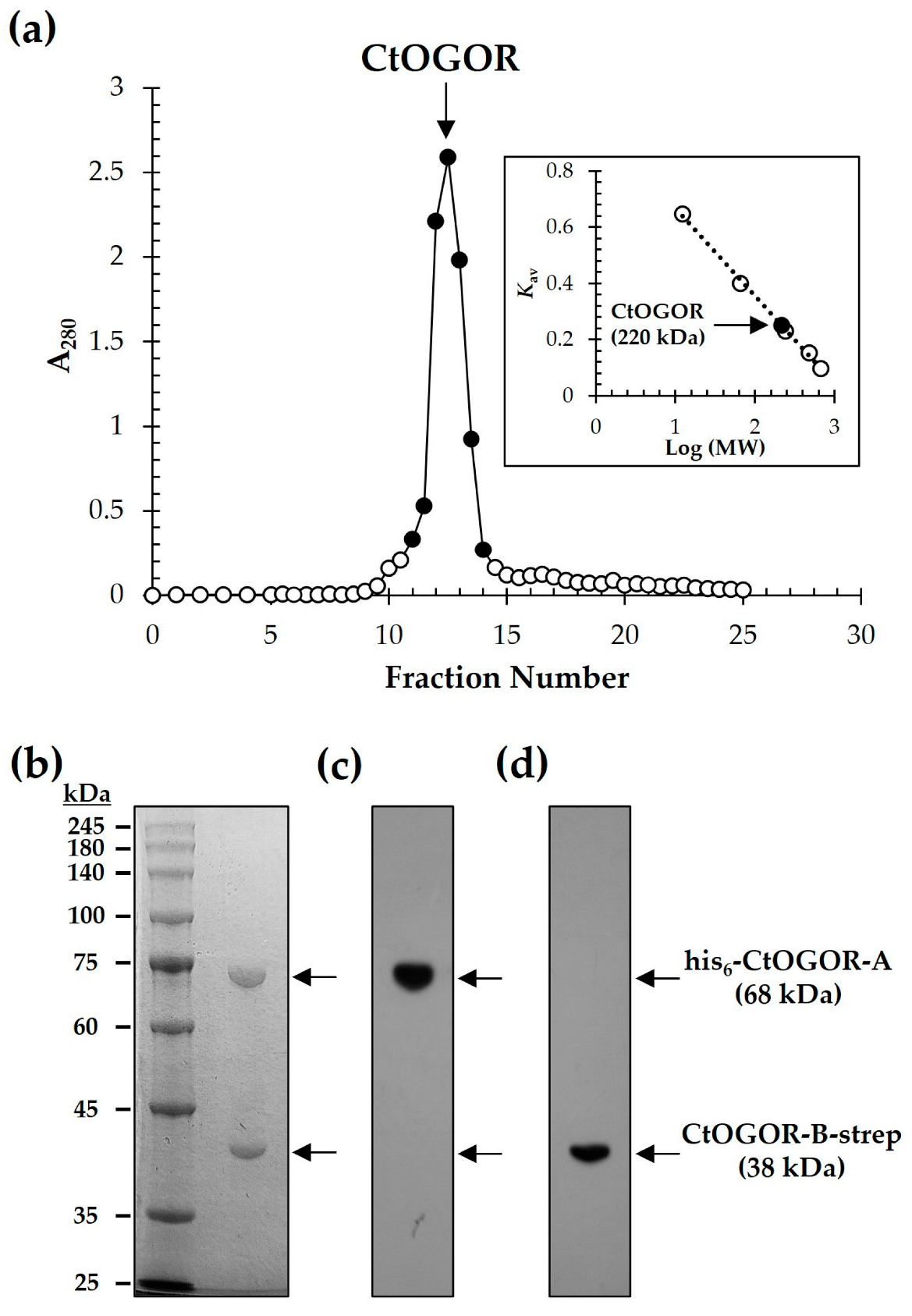Biology 12 00059 g002 Biology 12 00059 g002