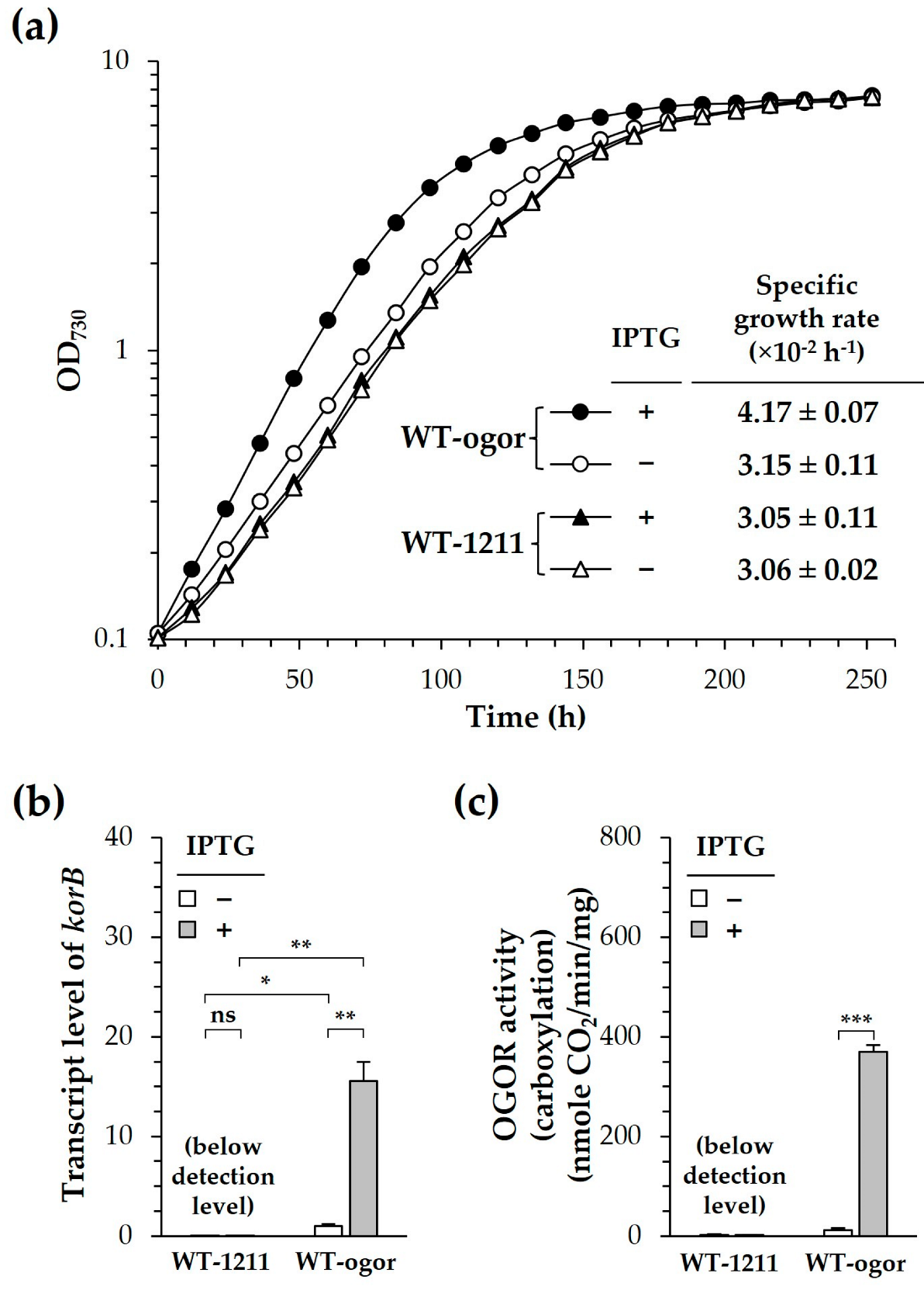 Biology 12 00059 g005 Biology 12 00059 g005