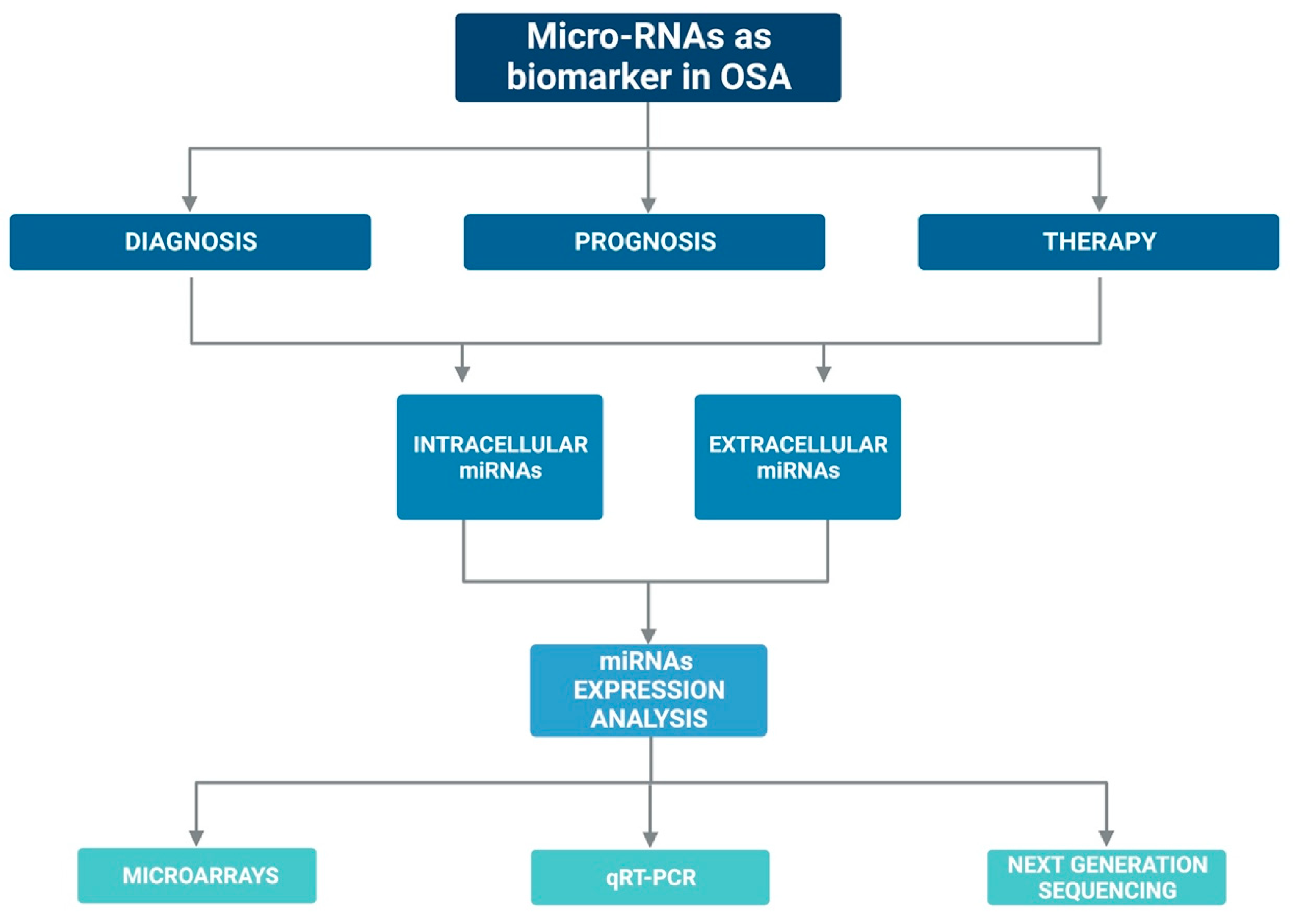 Biology 12 00066 g002