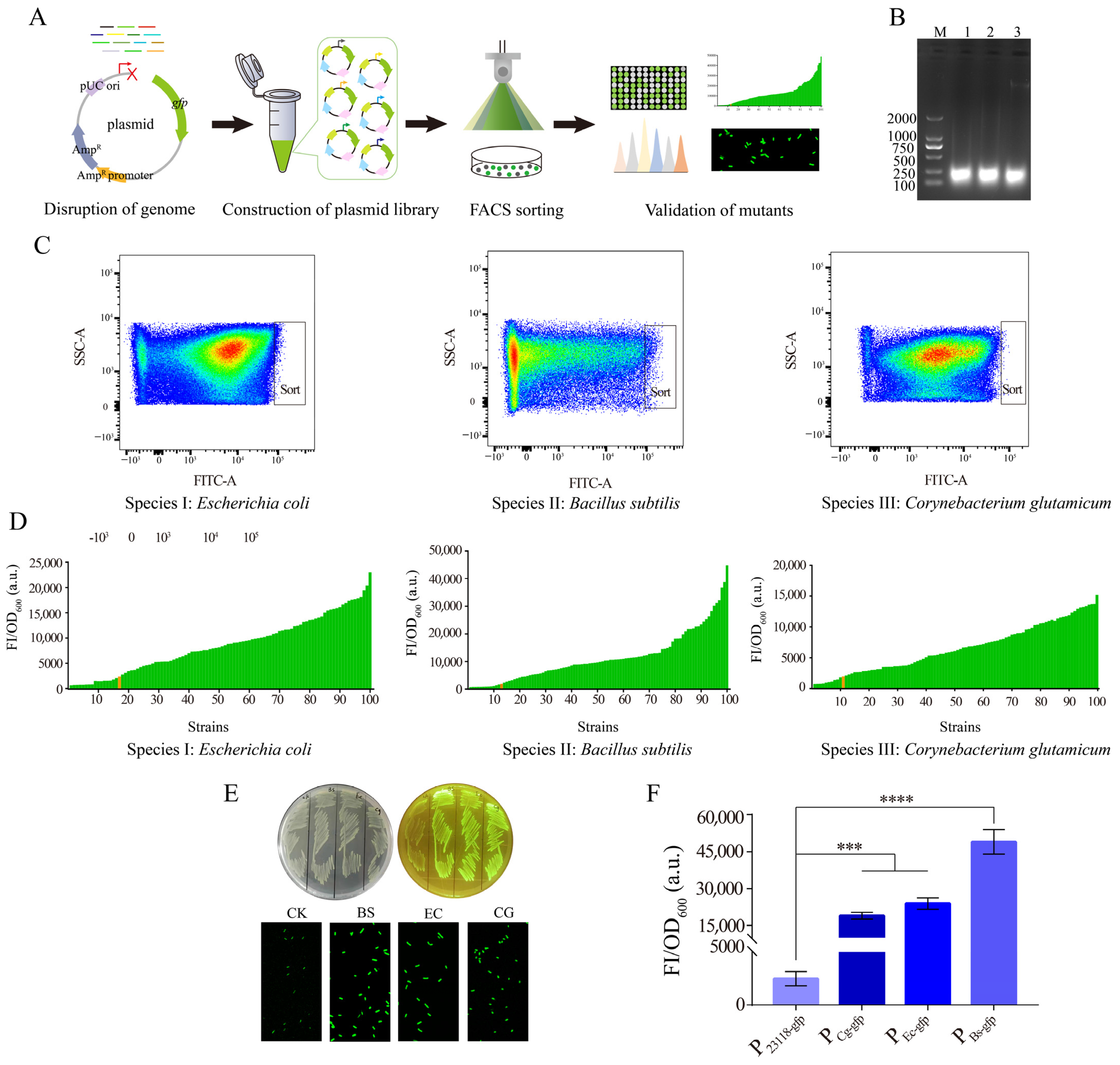 Biology 12 00071 g001