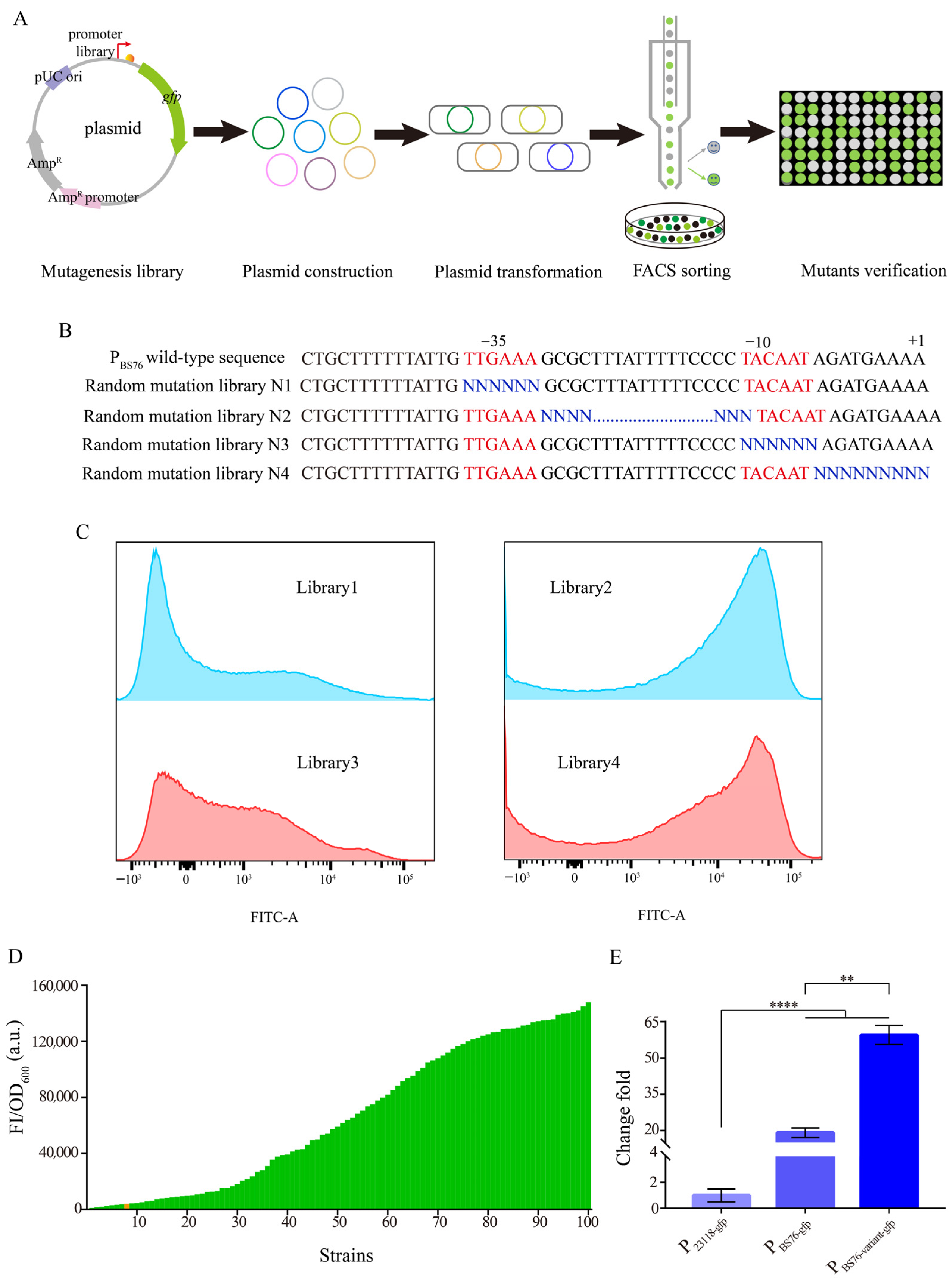 Biology 12 00071 g003