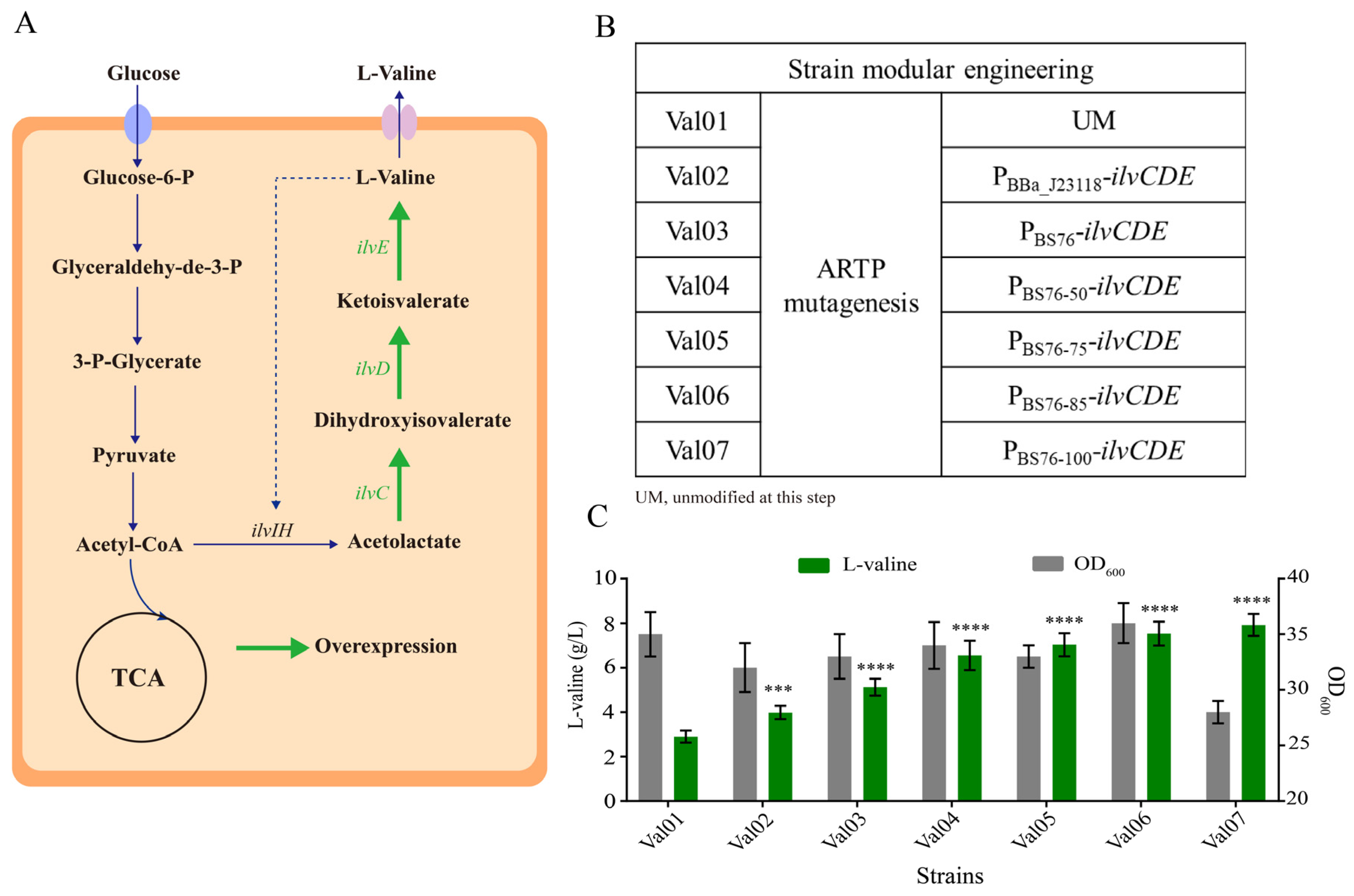 Biology 12 00071 g004