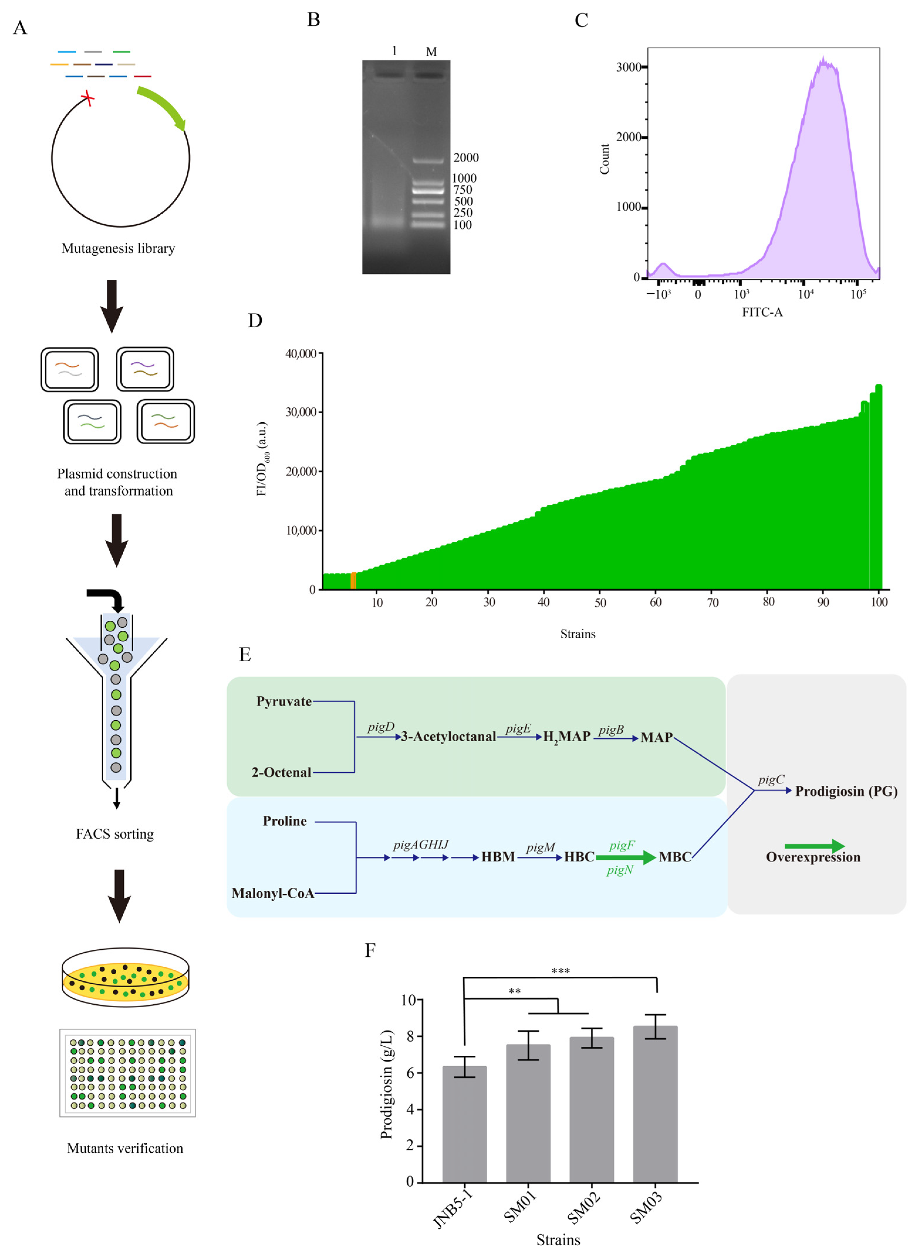 Biology 12 00071 g005
