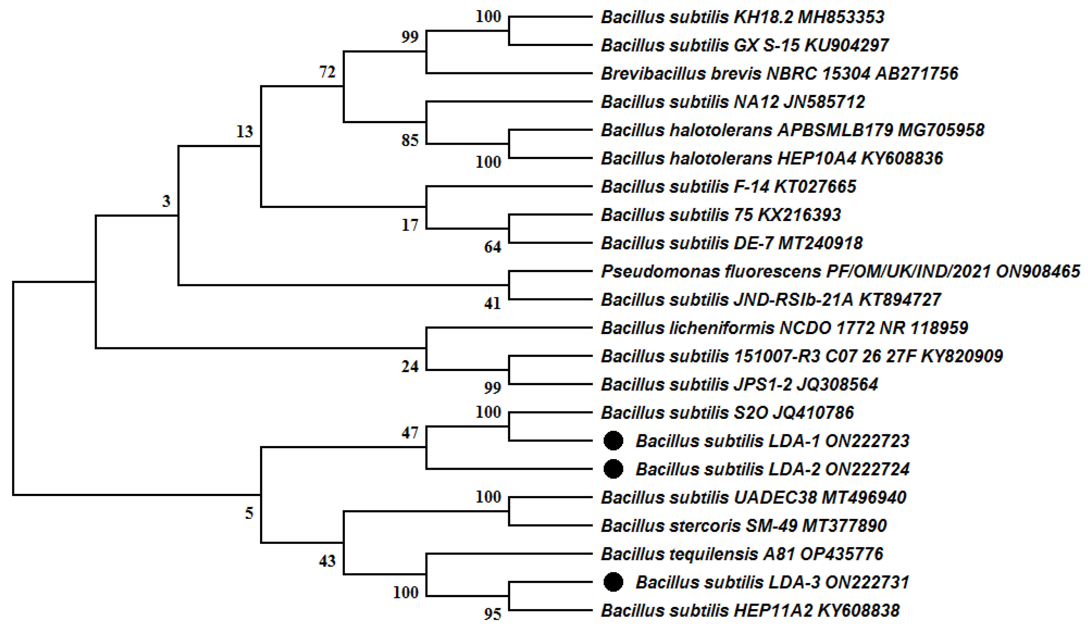 Biology 12 00073 g001