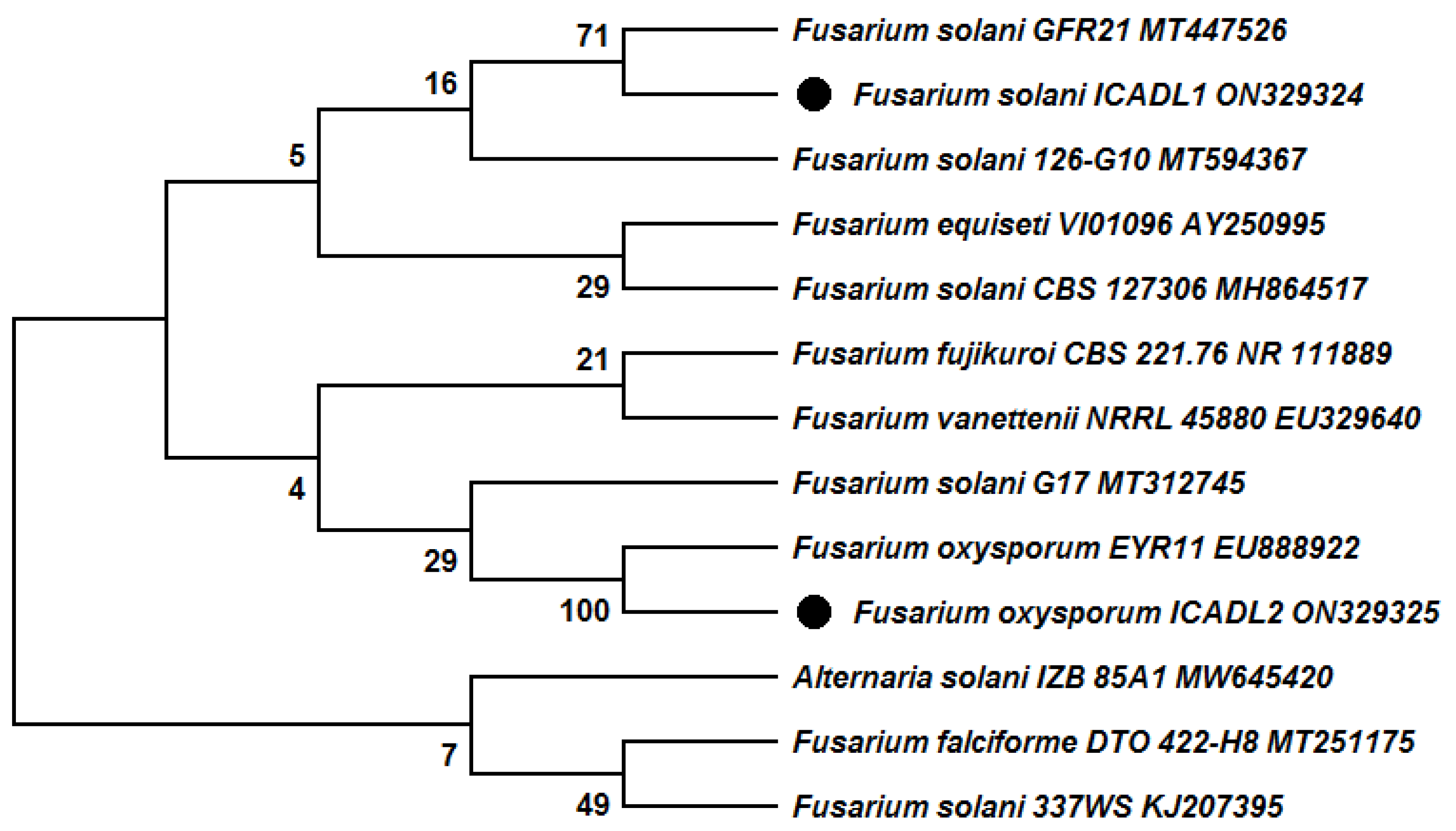 Biology 12 00073 g002