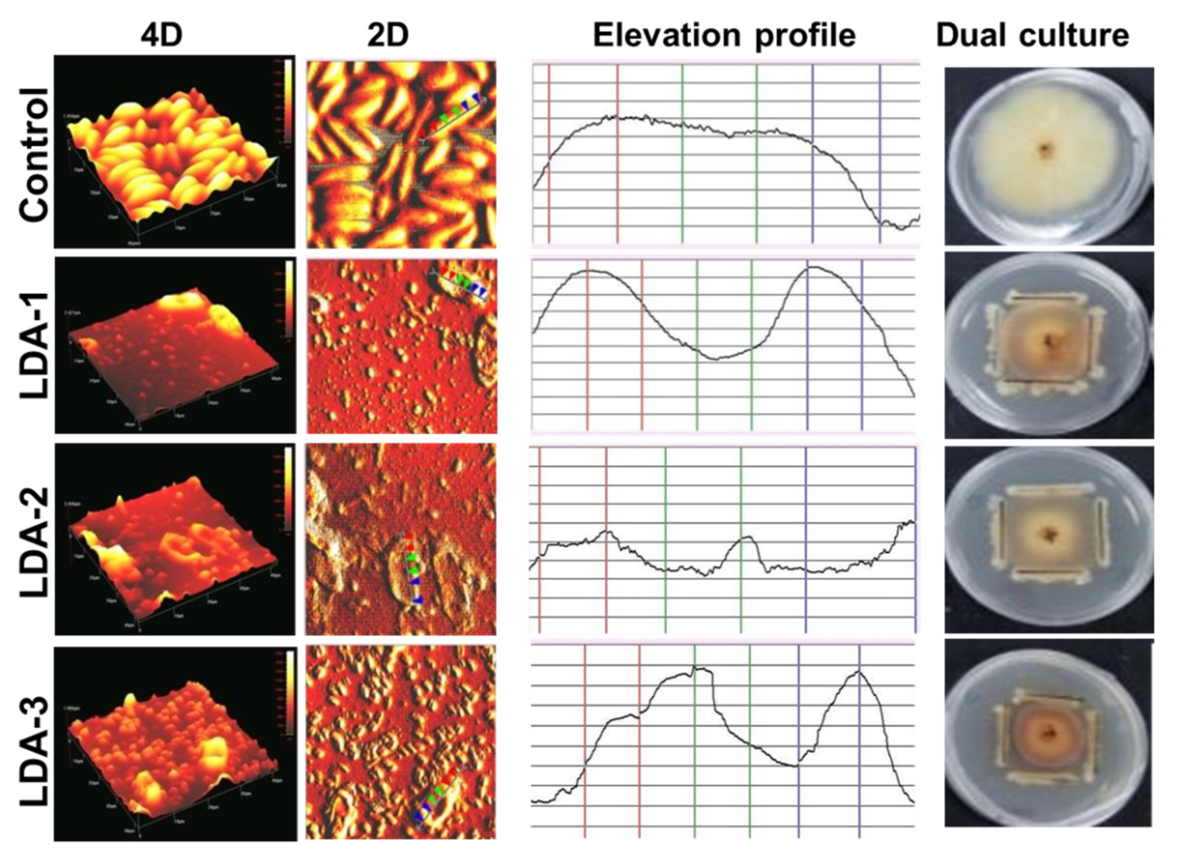 Biology 12 00073 g005