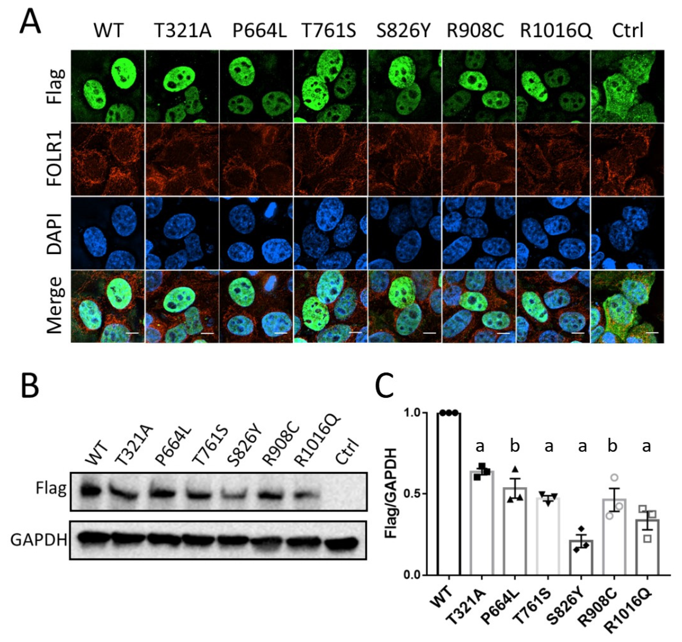 Biology 12 00074 g002 Biology 12 00074 g002