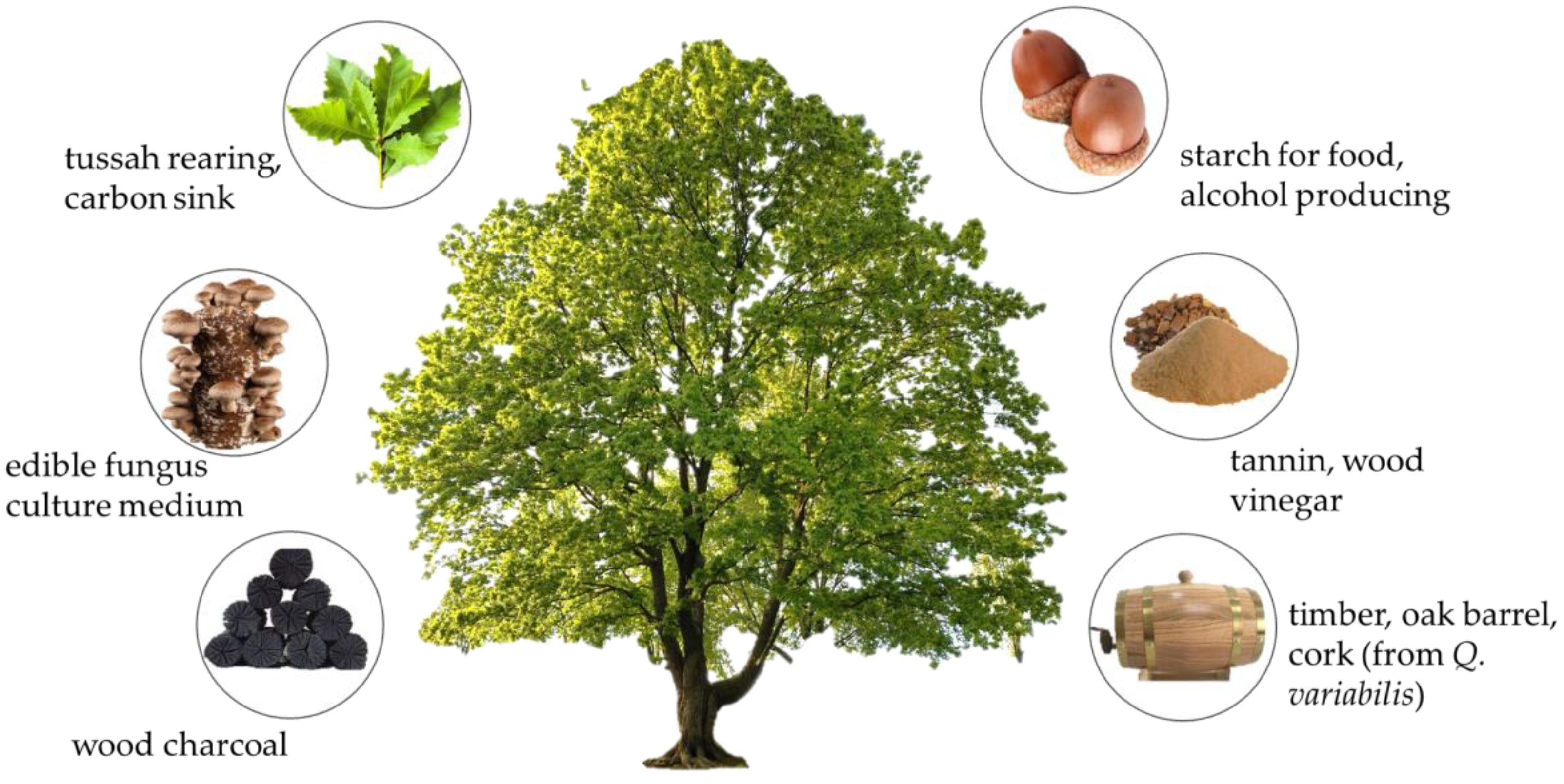 Biology 12 00076 g004