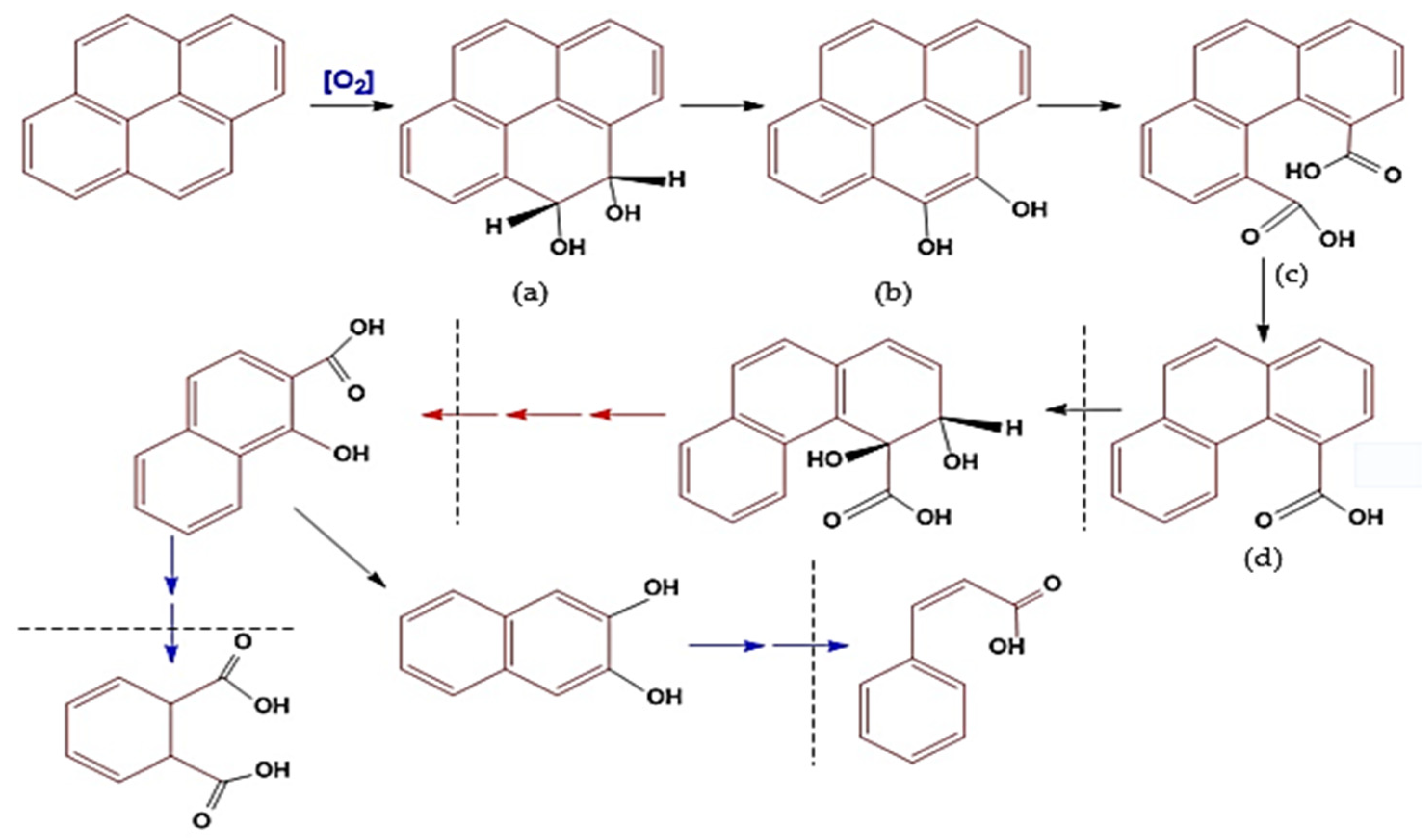 Biology 12 00086 g005
