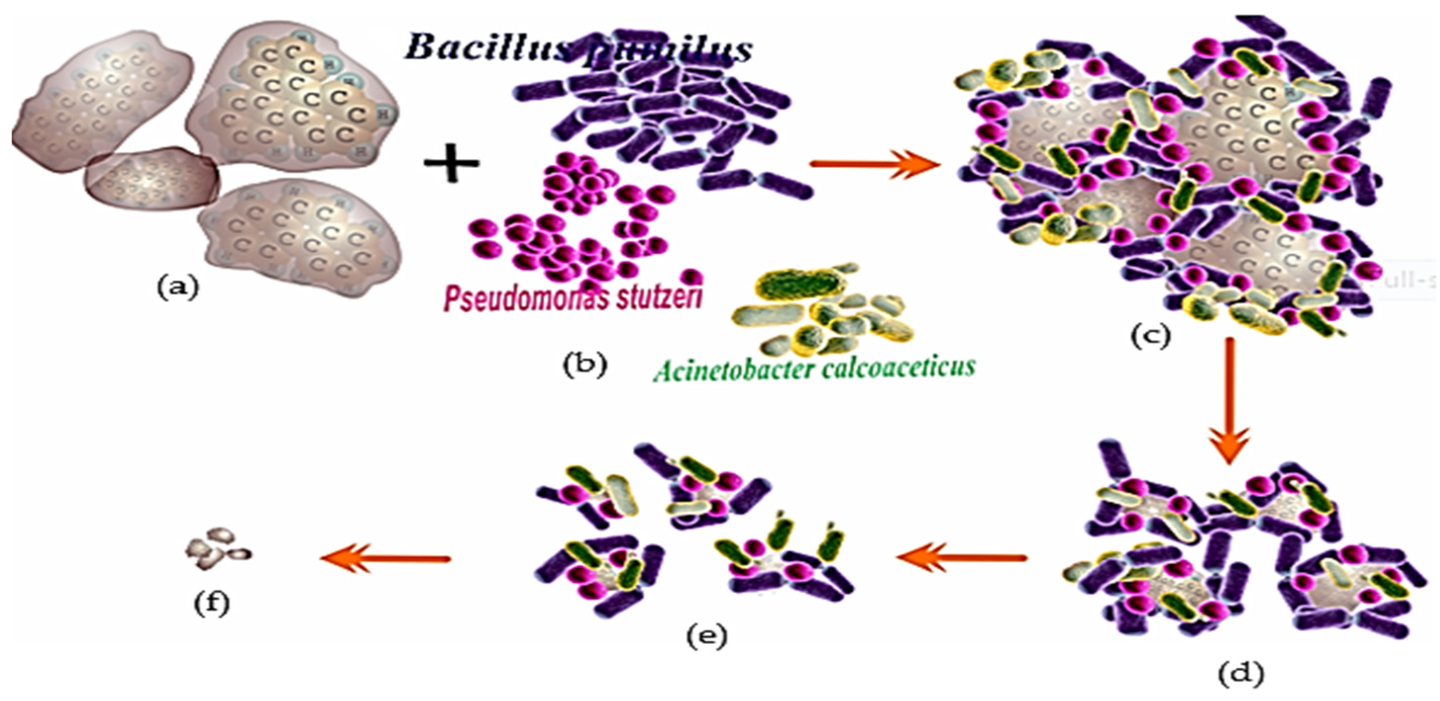 Biology 12 00086 g006