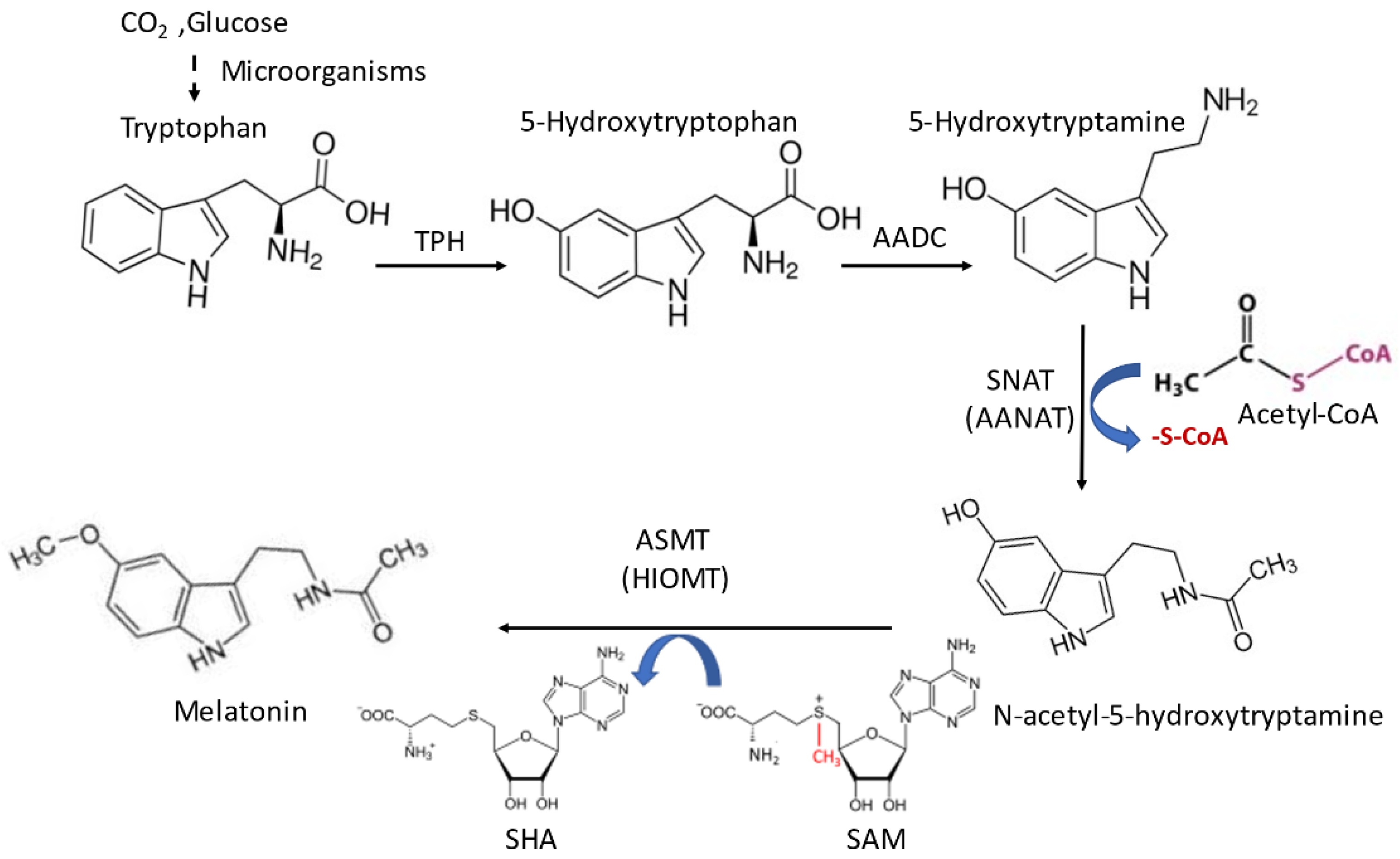 Biology 12 00089 g001