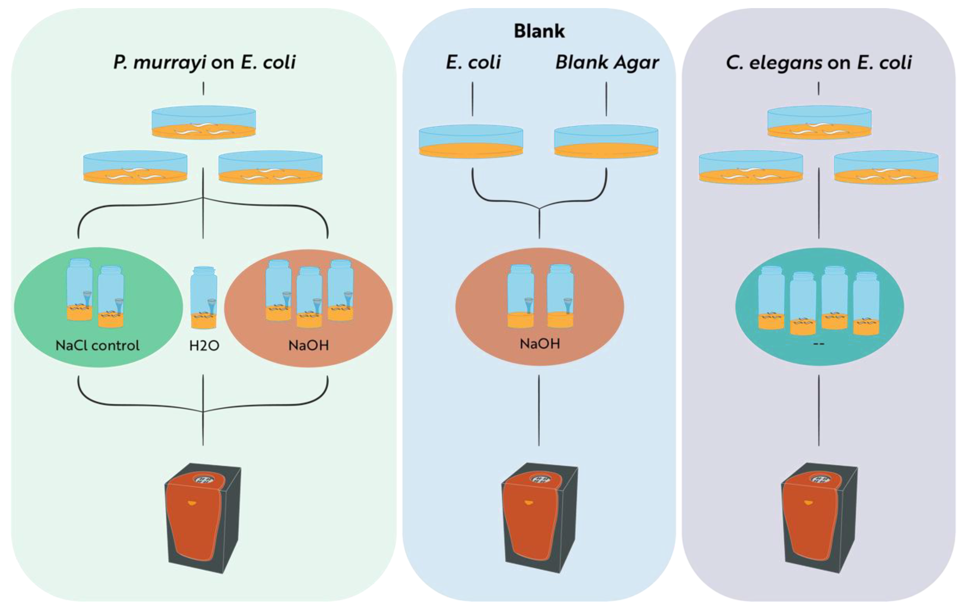 Biology 12 00109 g001