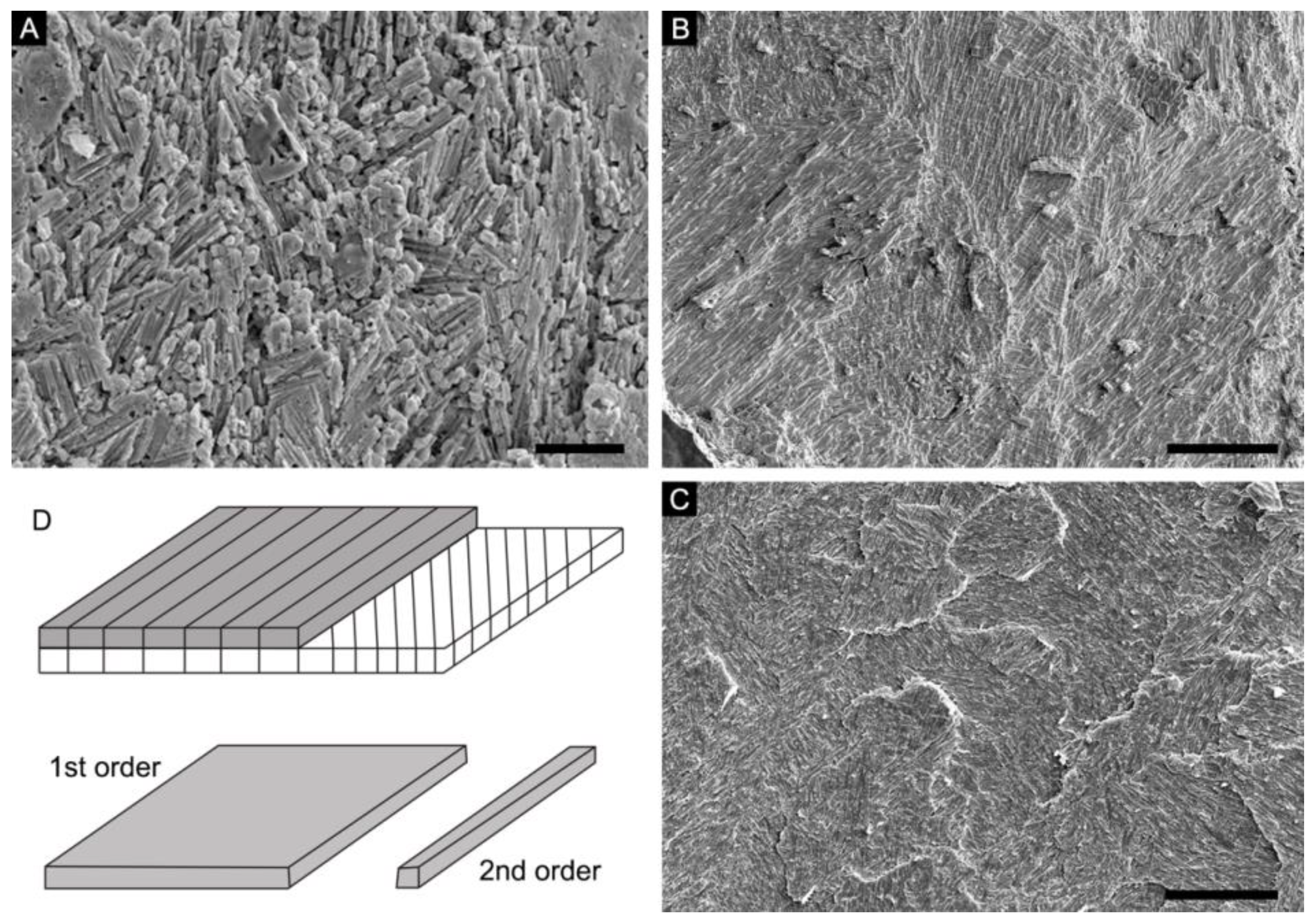 Biology 12 00113 g001