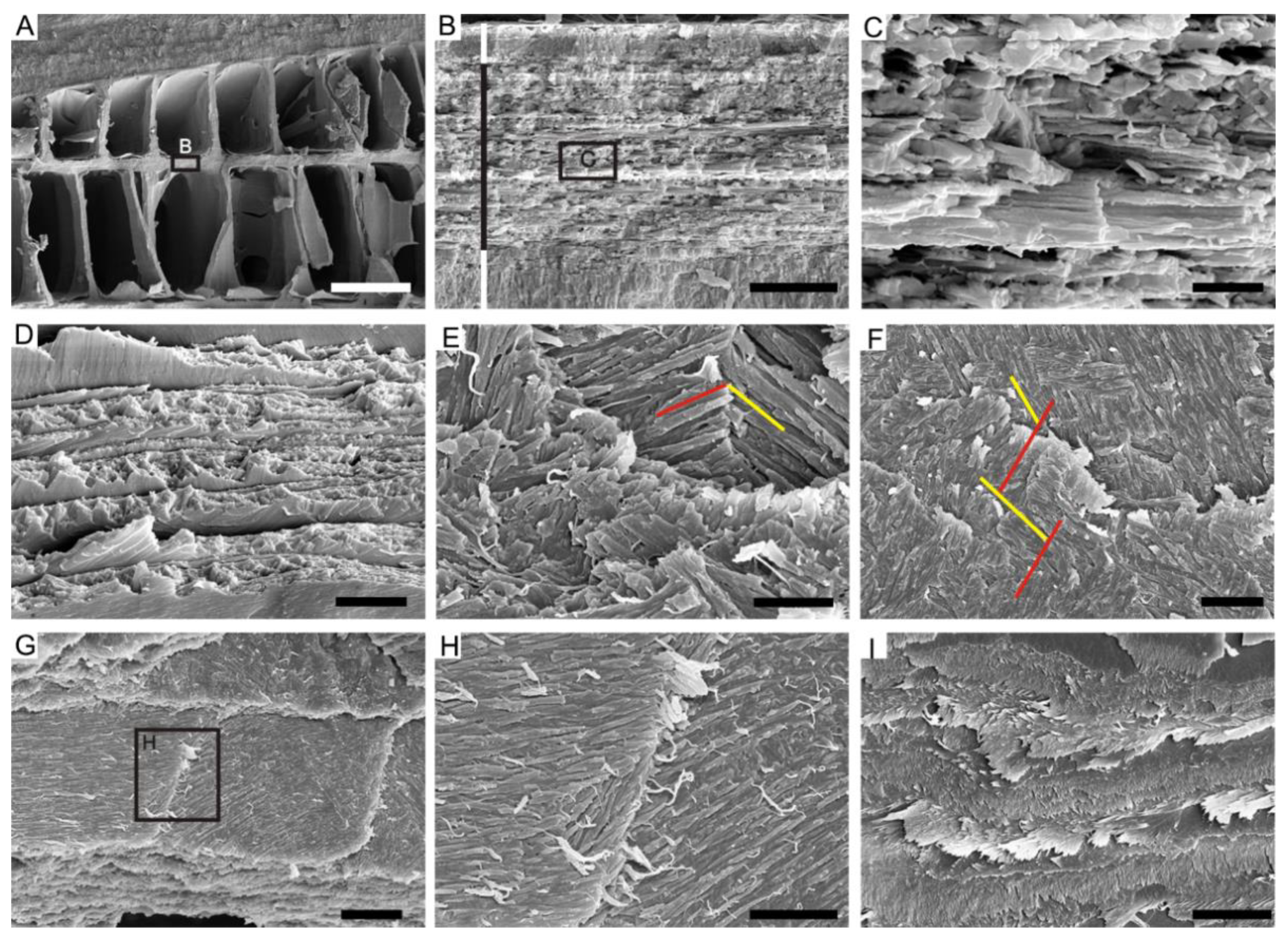 Biology 12 00113 g003