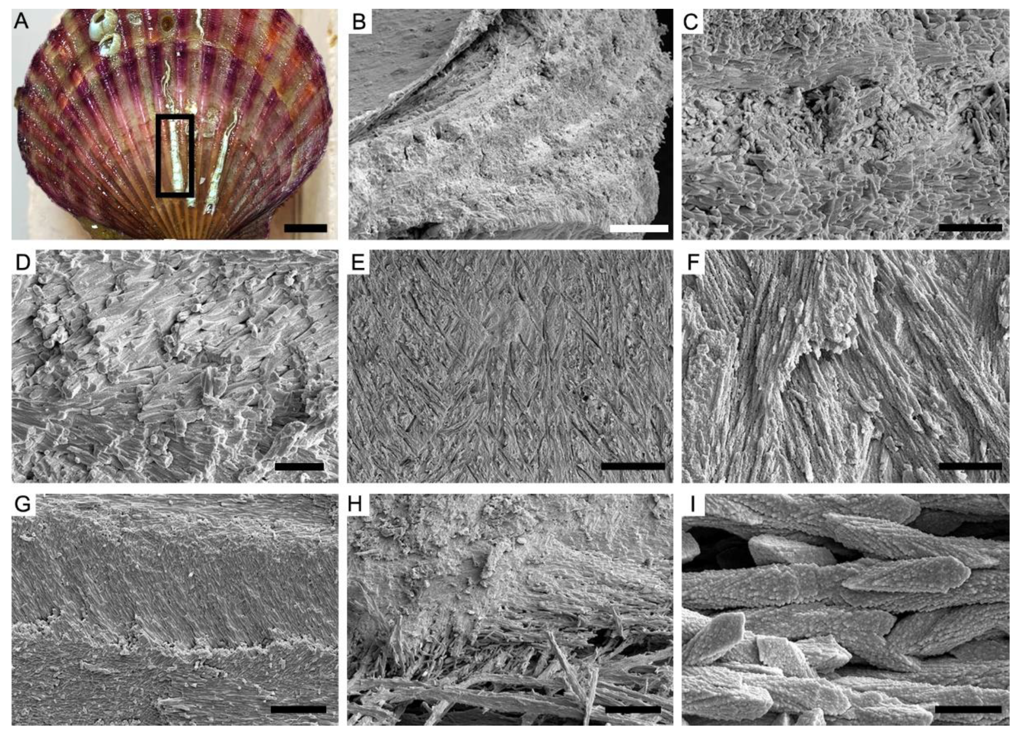 Biology 12 00113 g004