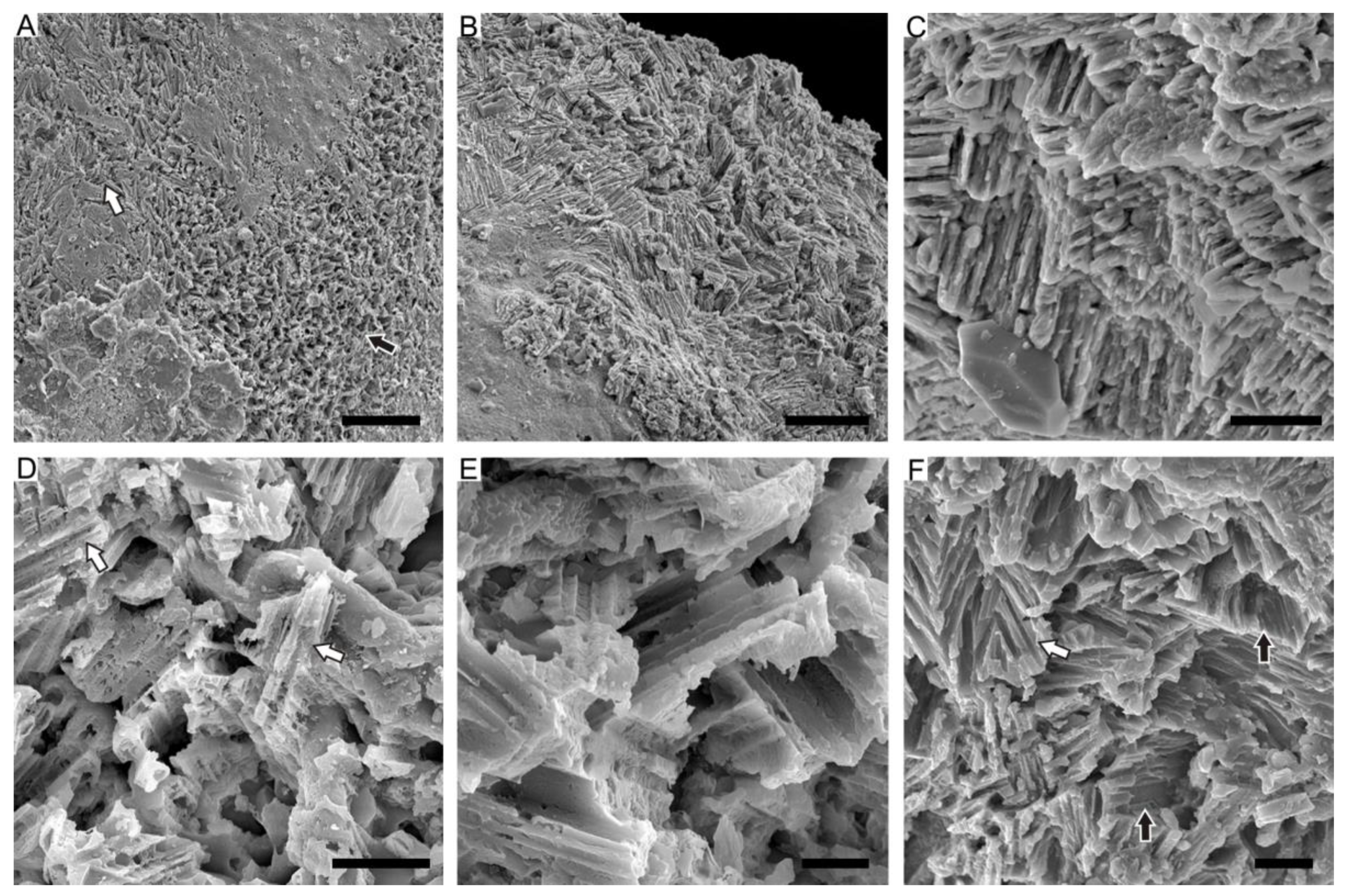 Biology 12 00113 g006