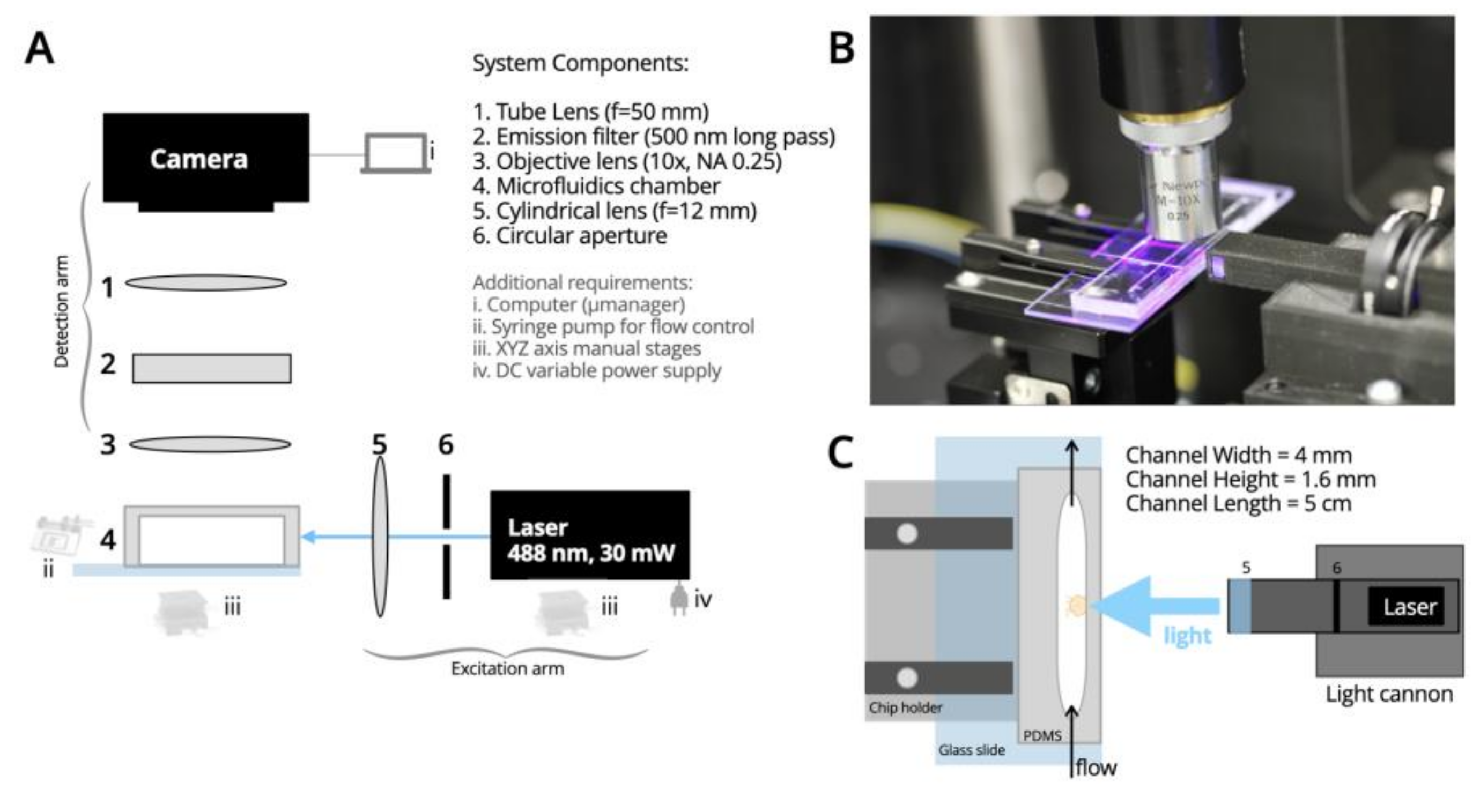 Biology 12 00116 g001