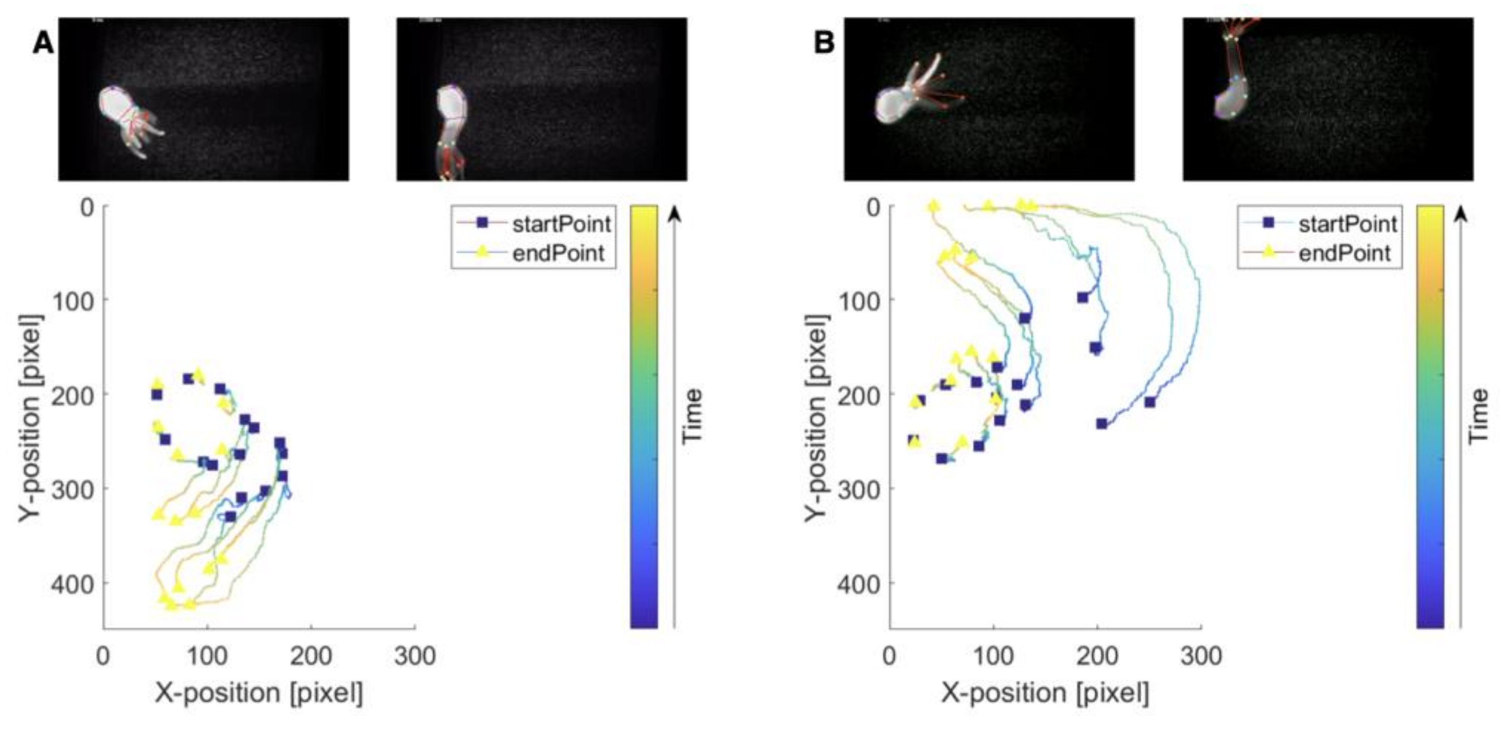 Biology 12 00116 g005