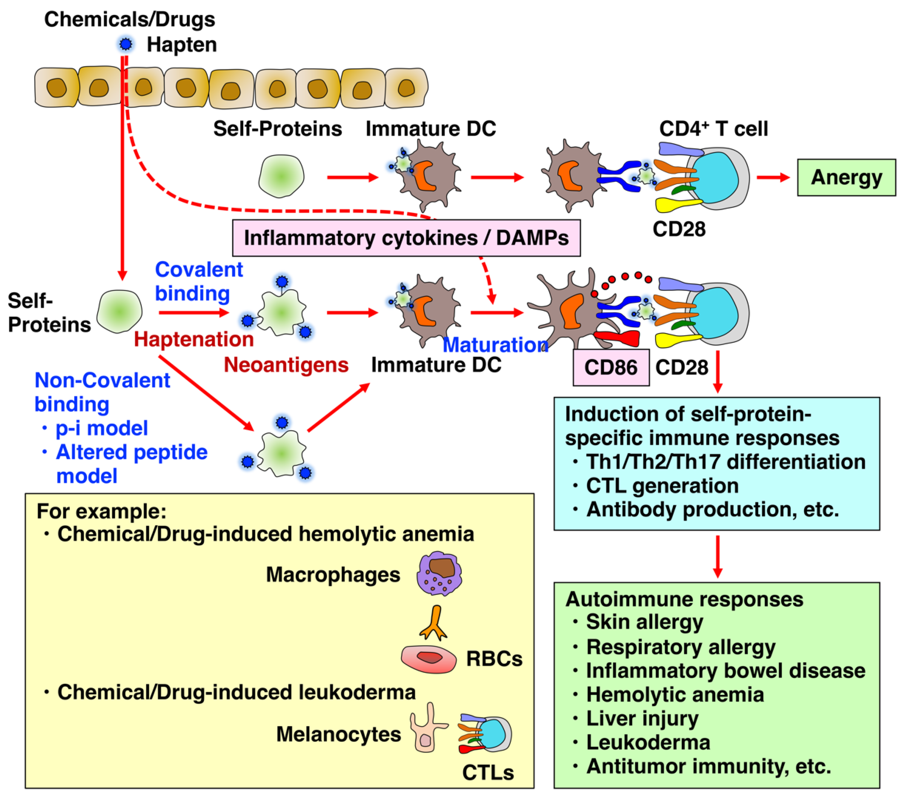 Biology 12 00123 g001
