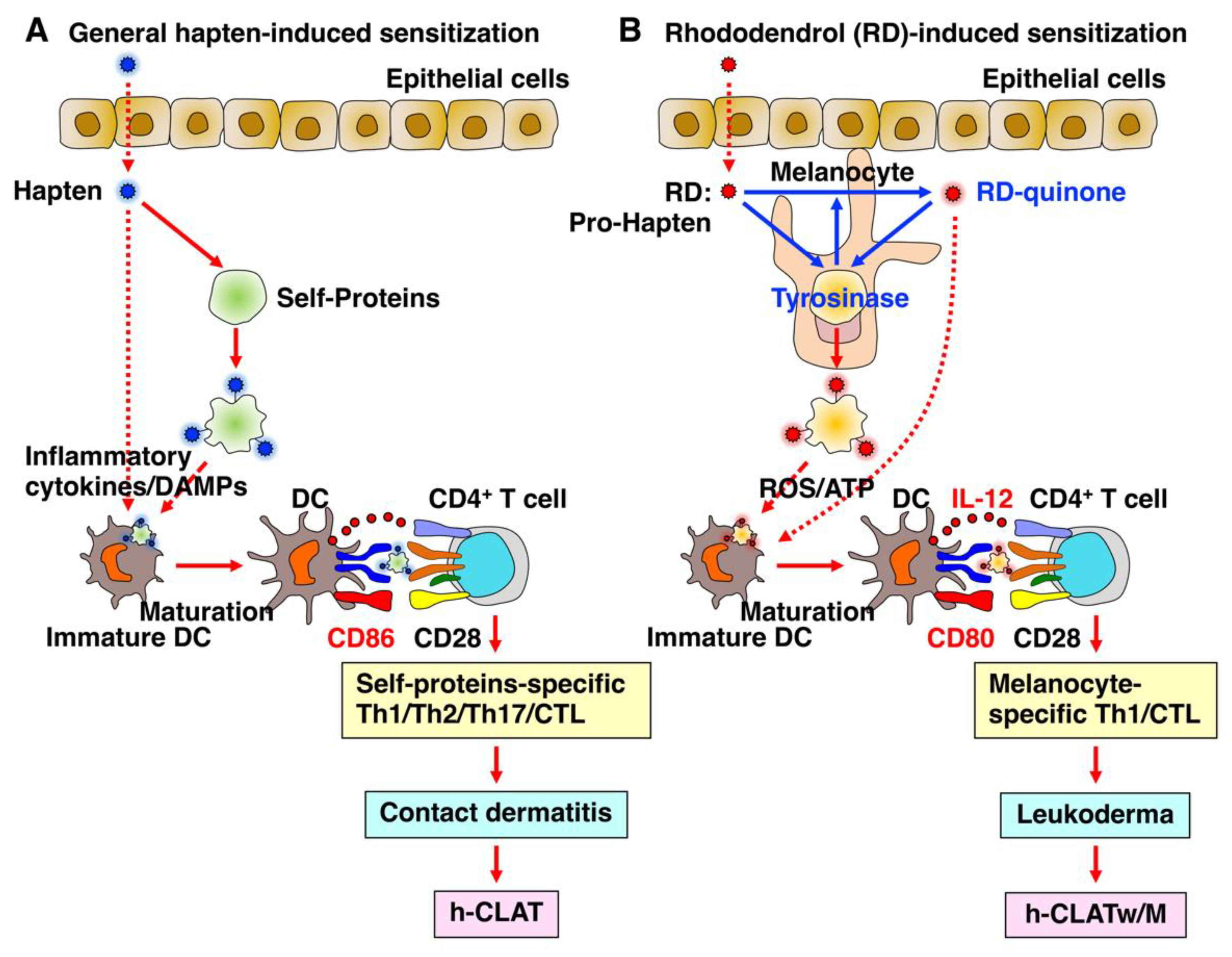 Biology 12 00123 g003