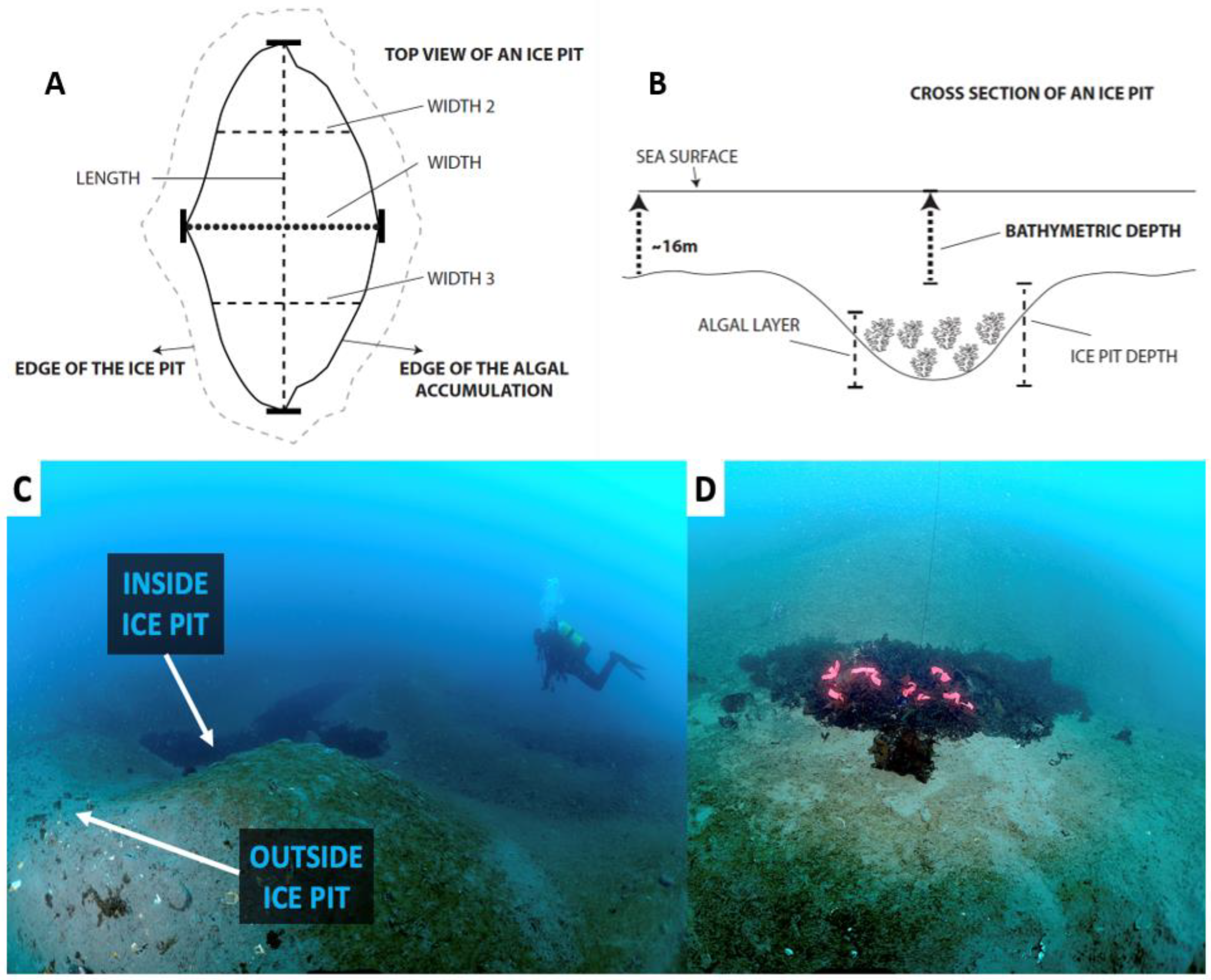 Biology 12 00128 g003 Biology 12 00128 g003