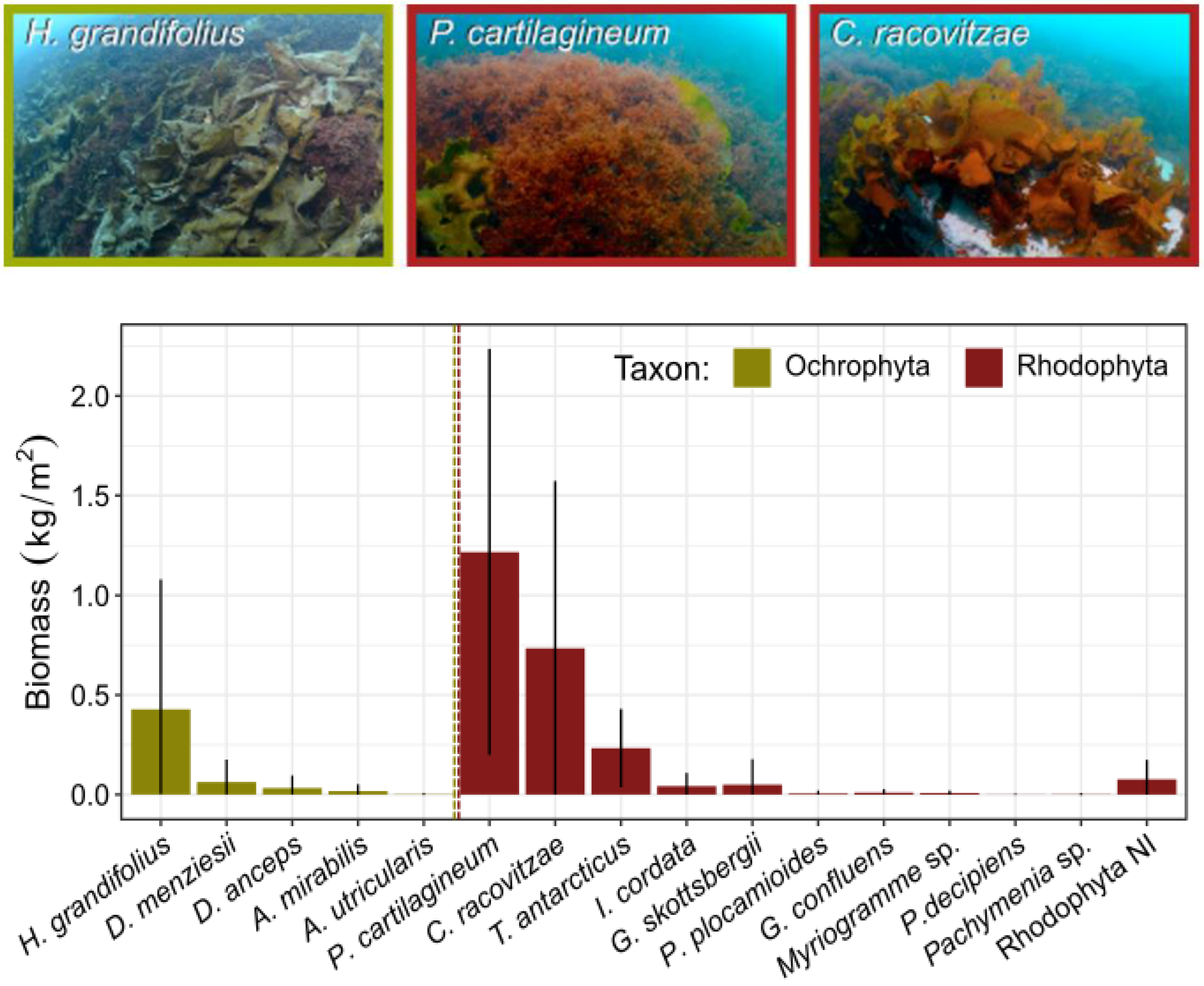 Biology 12 00128 g004 Biology 12 00128 g004