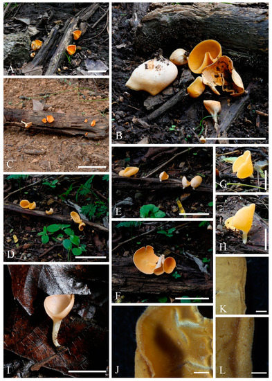 Biology 12 00130 g003