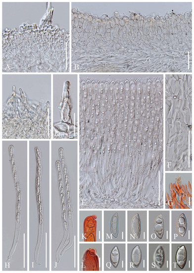 Biology 12 00130 g004