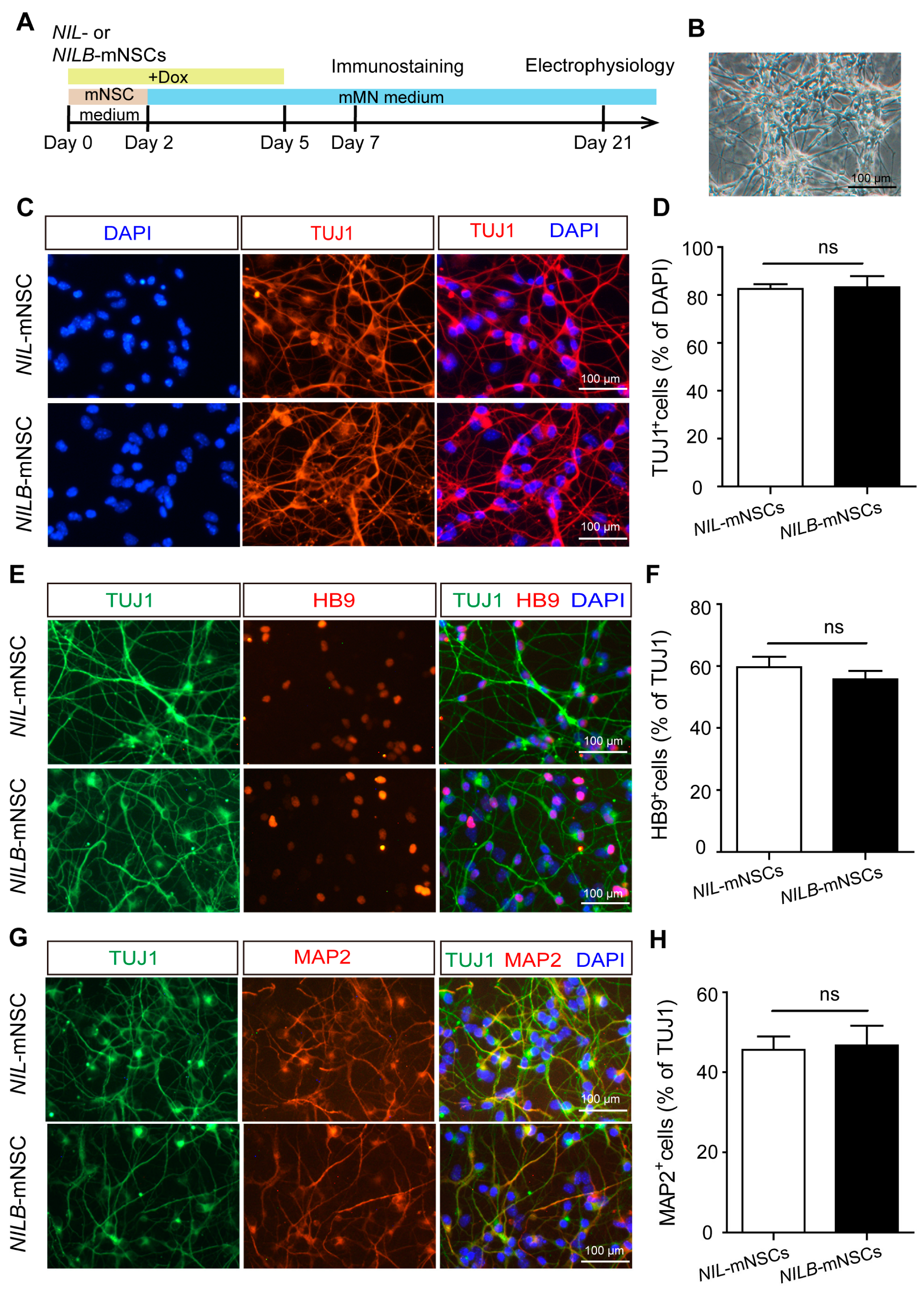 Biology 12 00132 g002 Biology 12 00132 g002