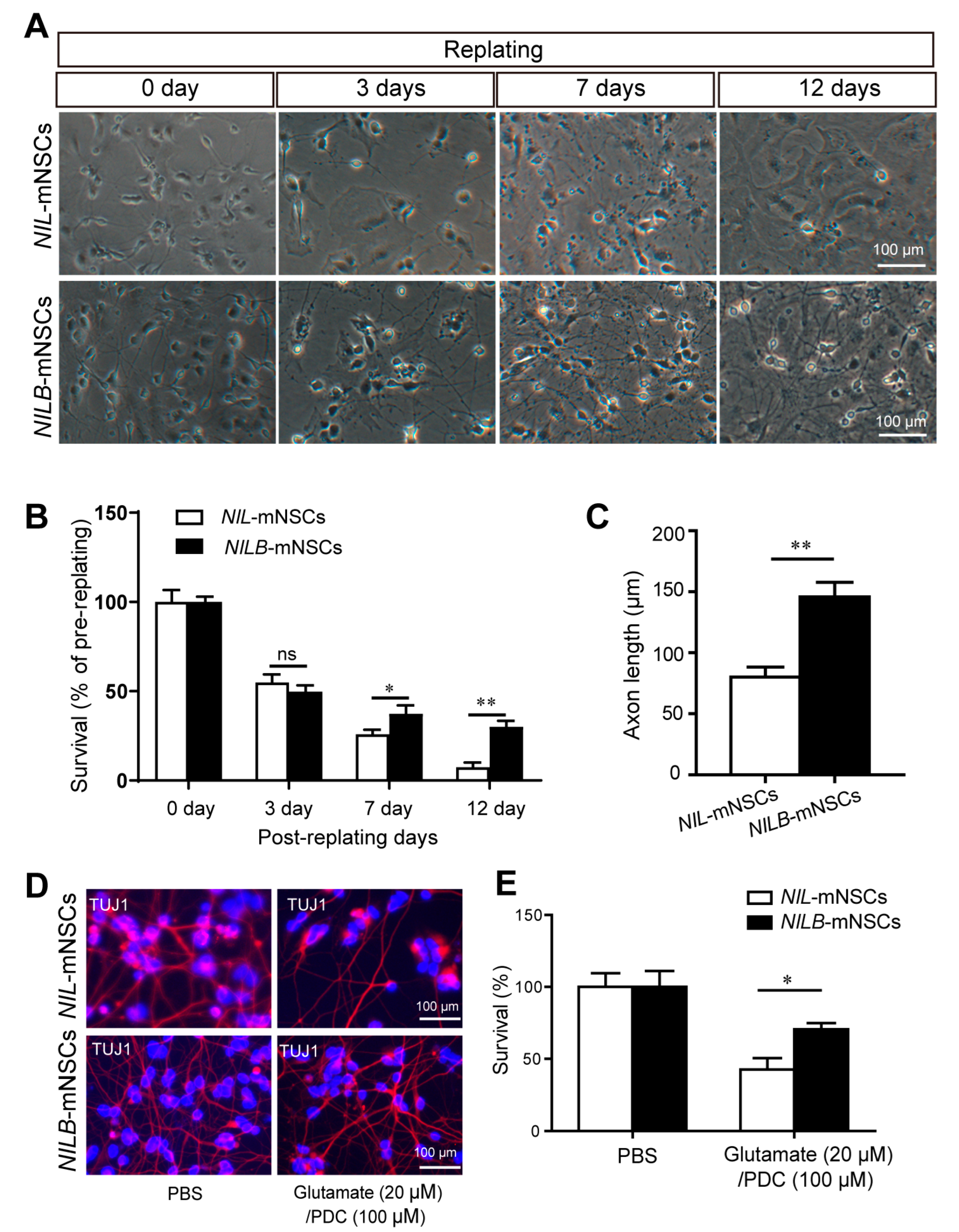 Biology 12 00132 g003 Biology 12 00132 g003