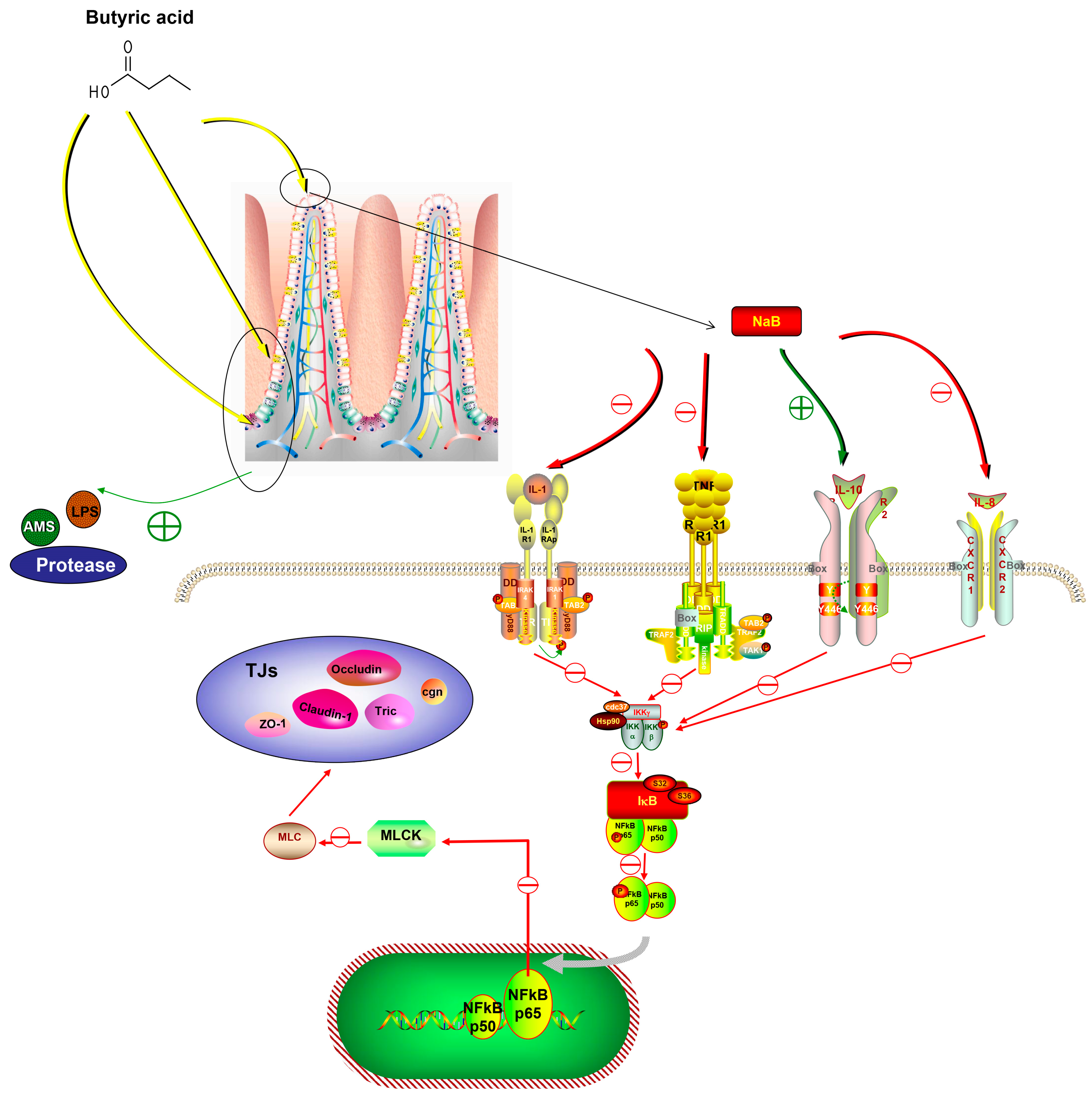 Biology 12 00145 g008