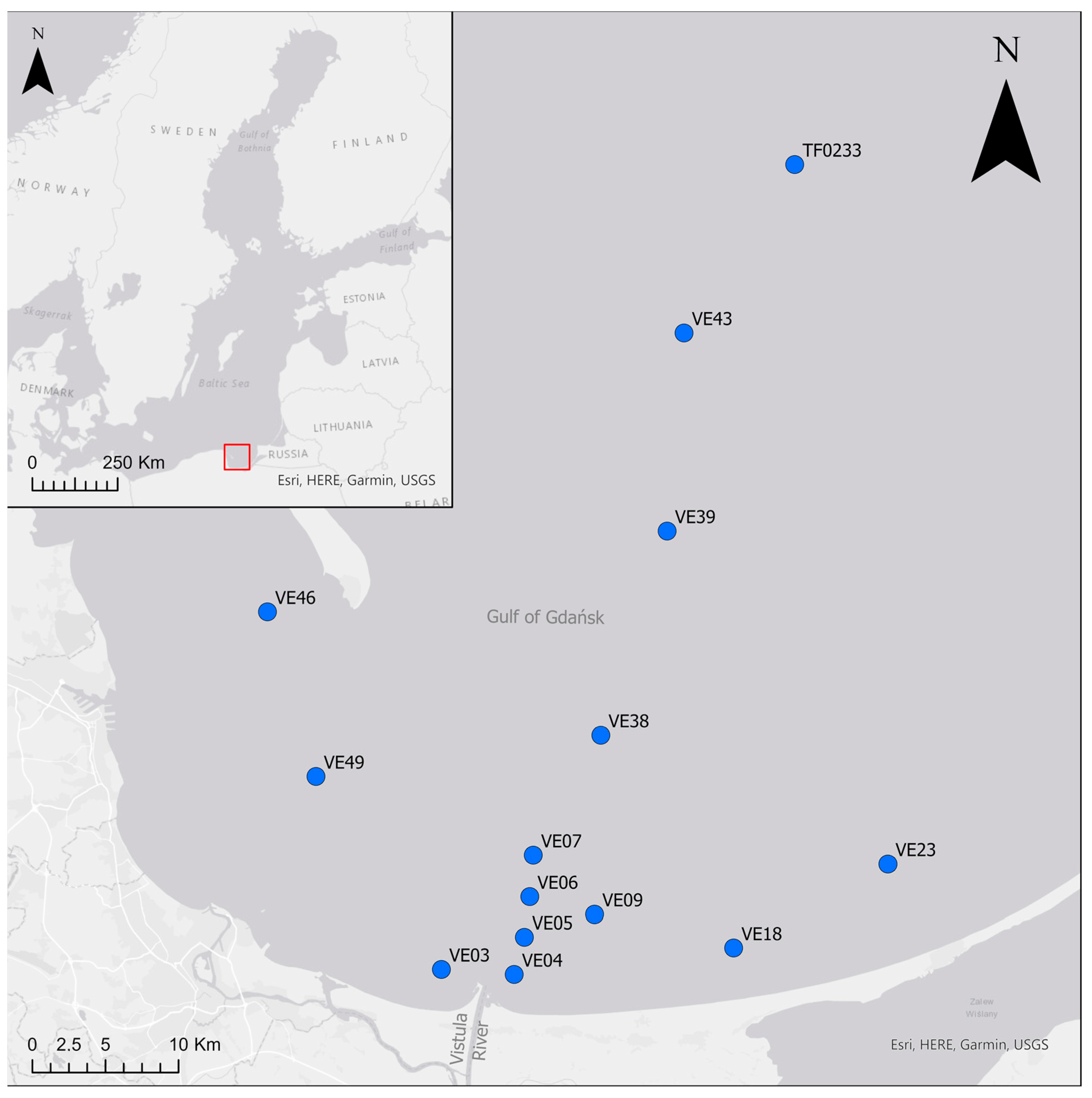 Biology 12 00147 g001