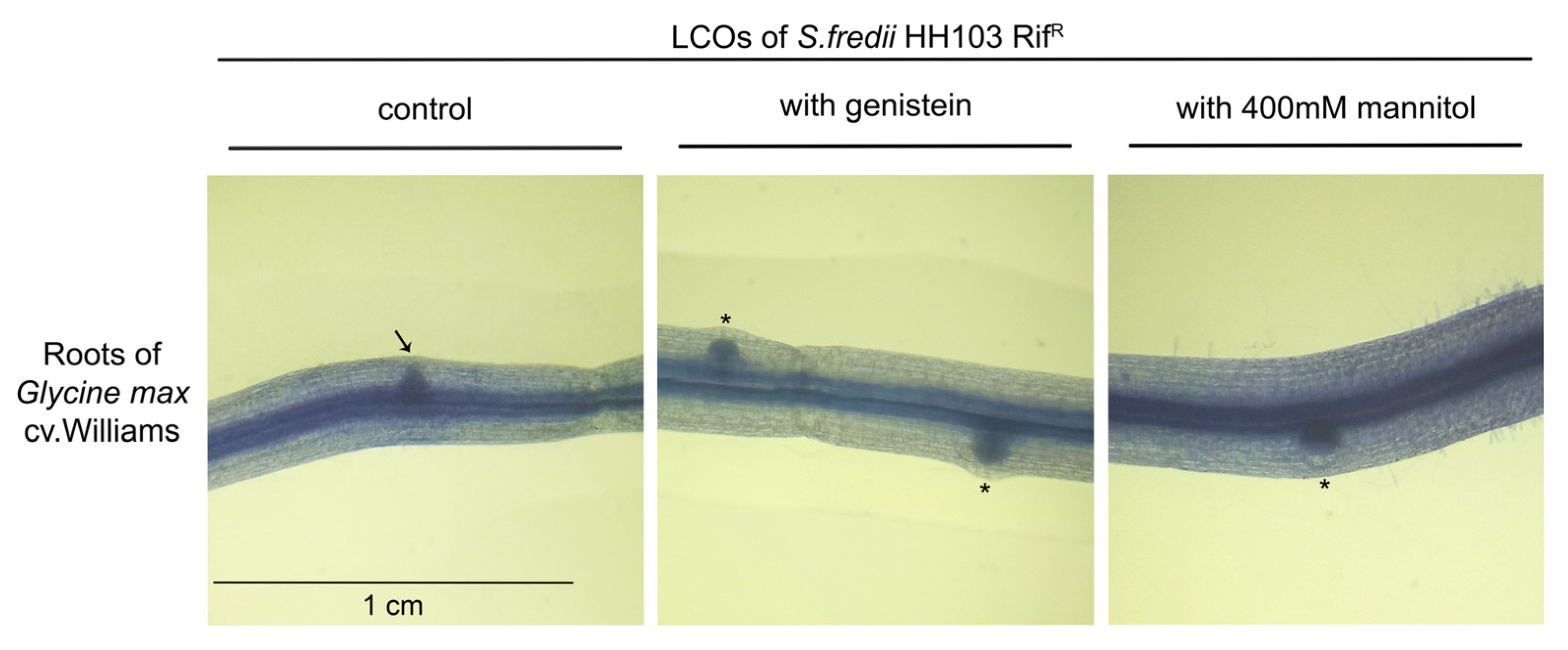 Biology 12 00148 g003