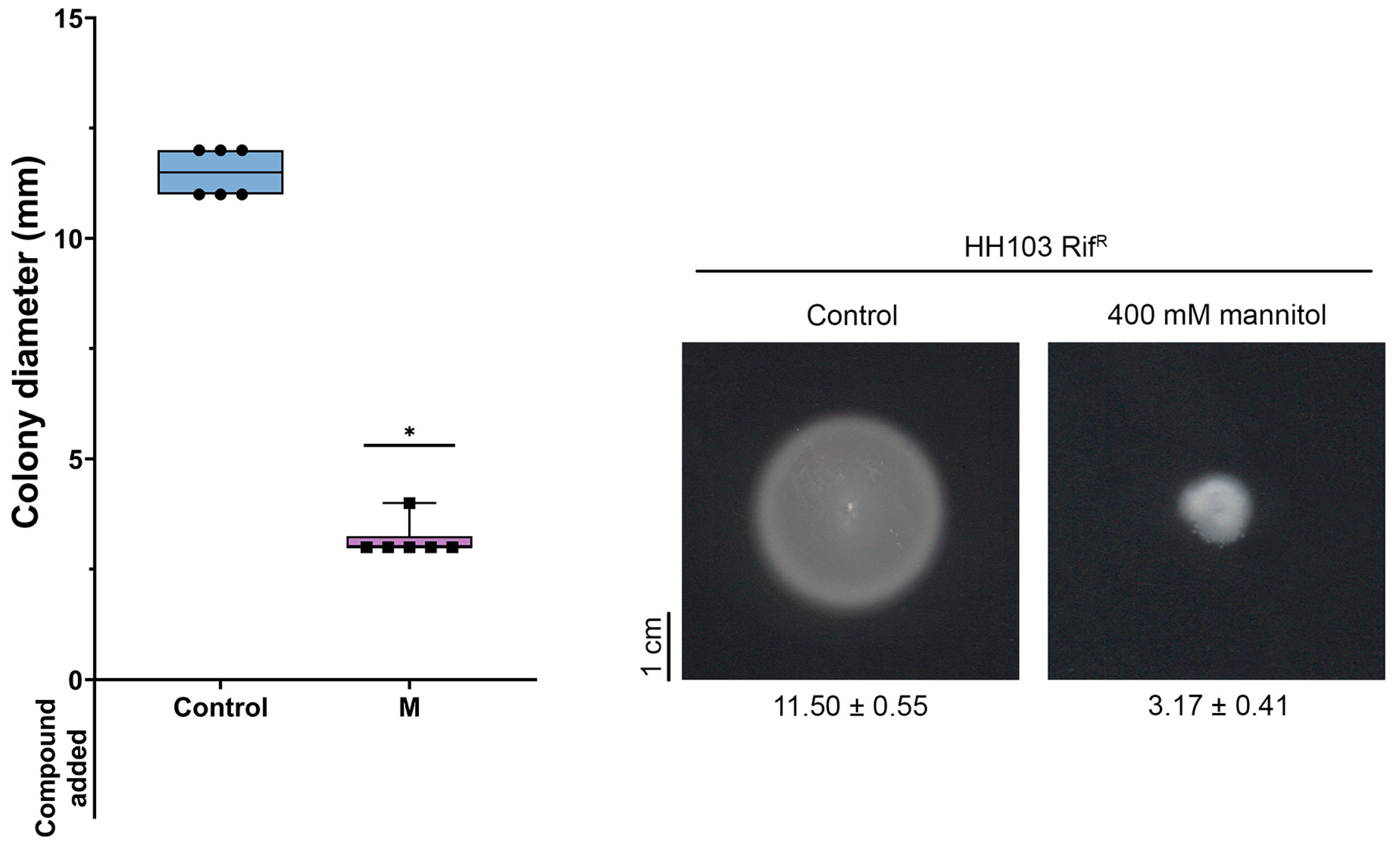 Biology 12 00148 g004