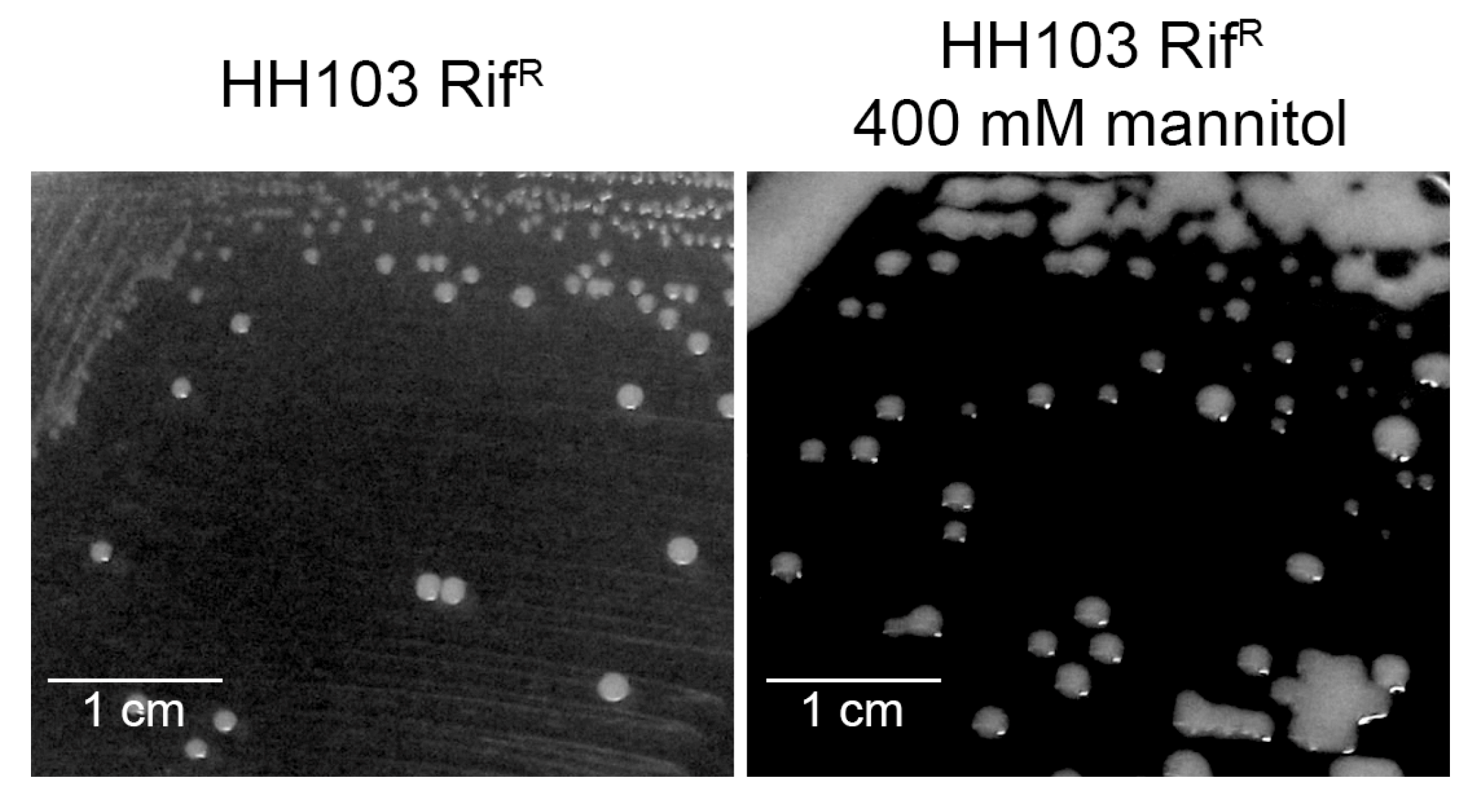 Biology 12 00148 g006