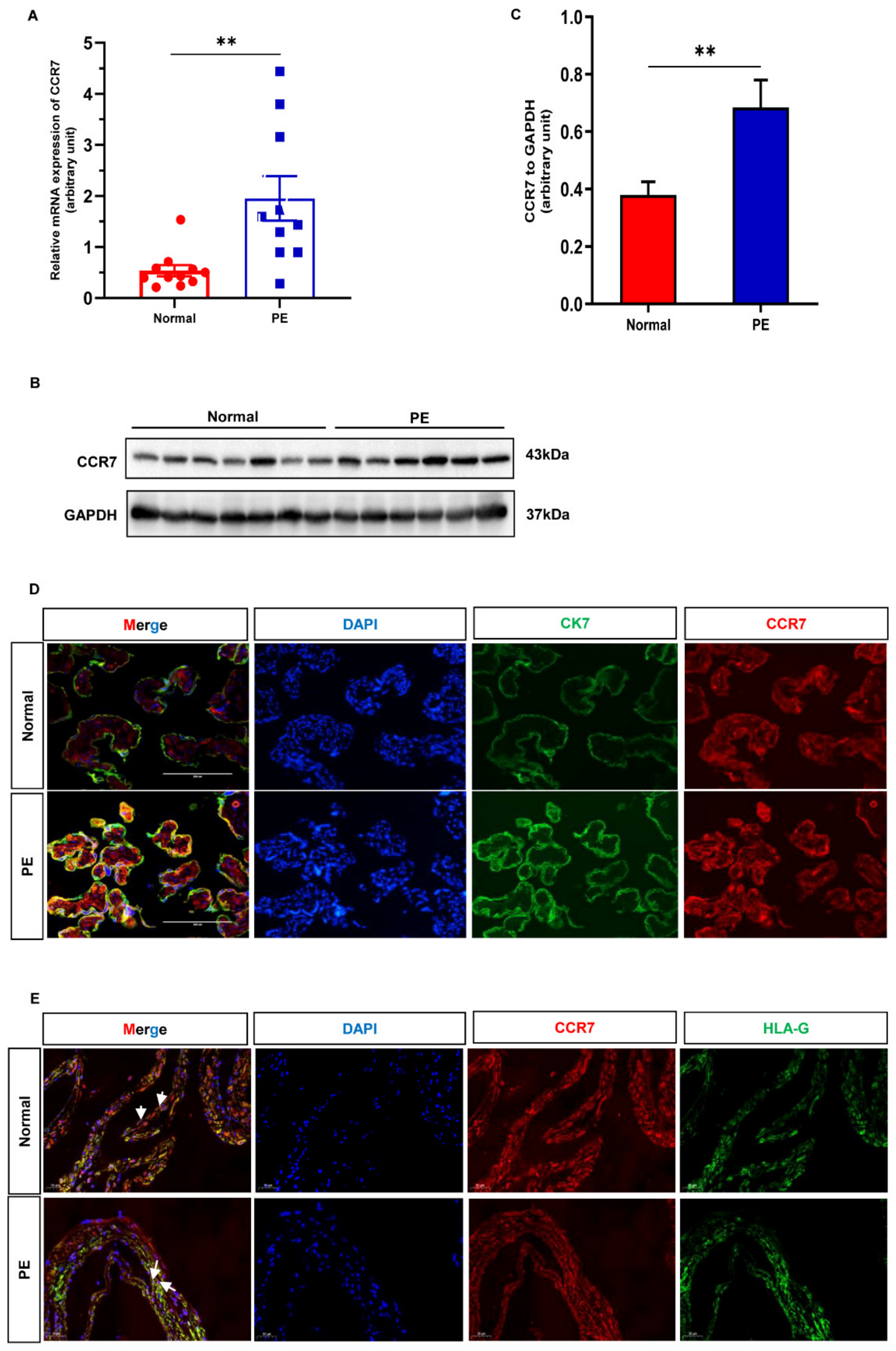 Biology 12 00150 g002