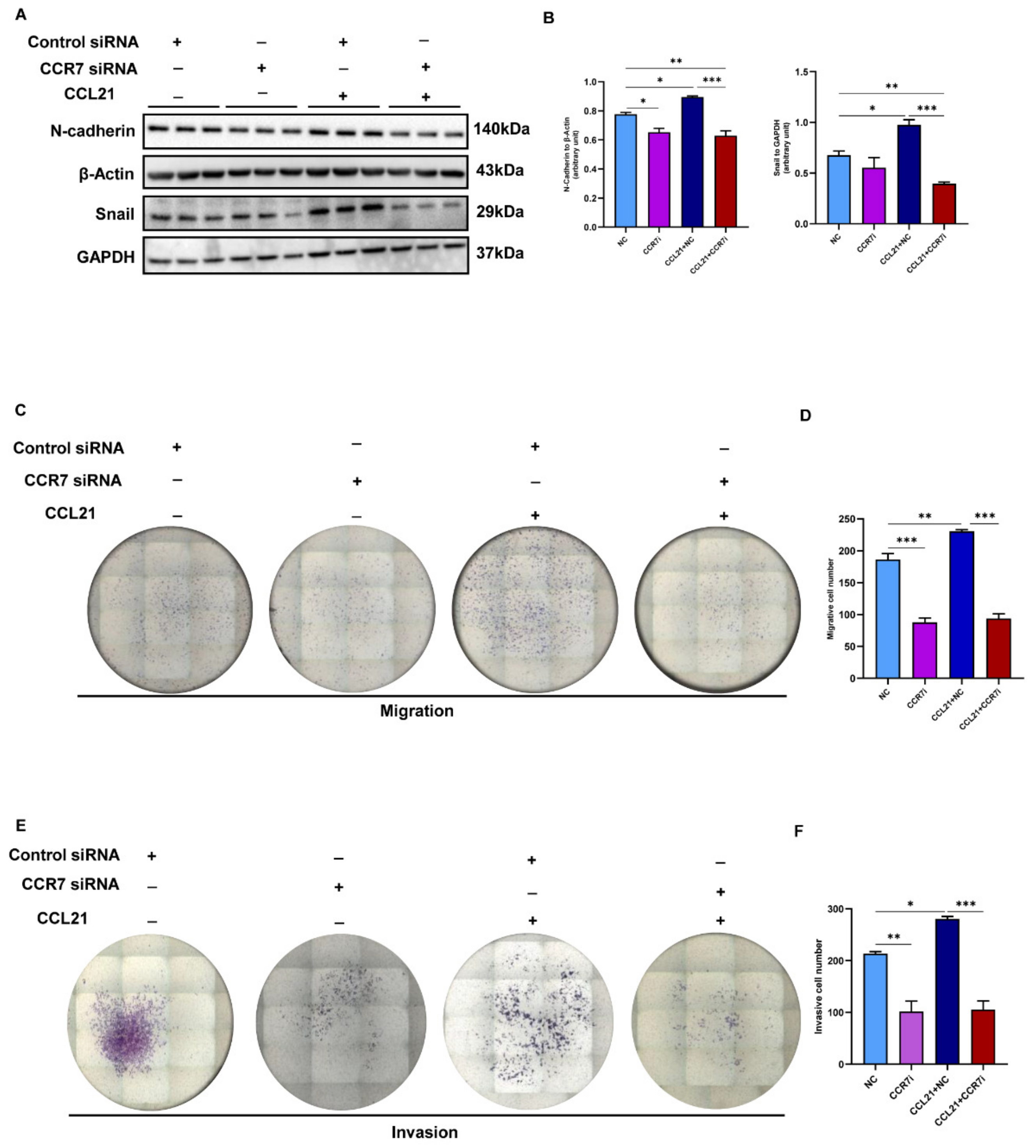 Biology 12 00150 g006