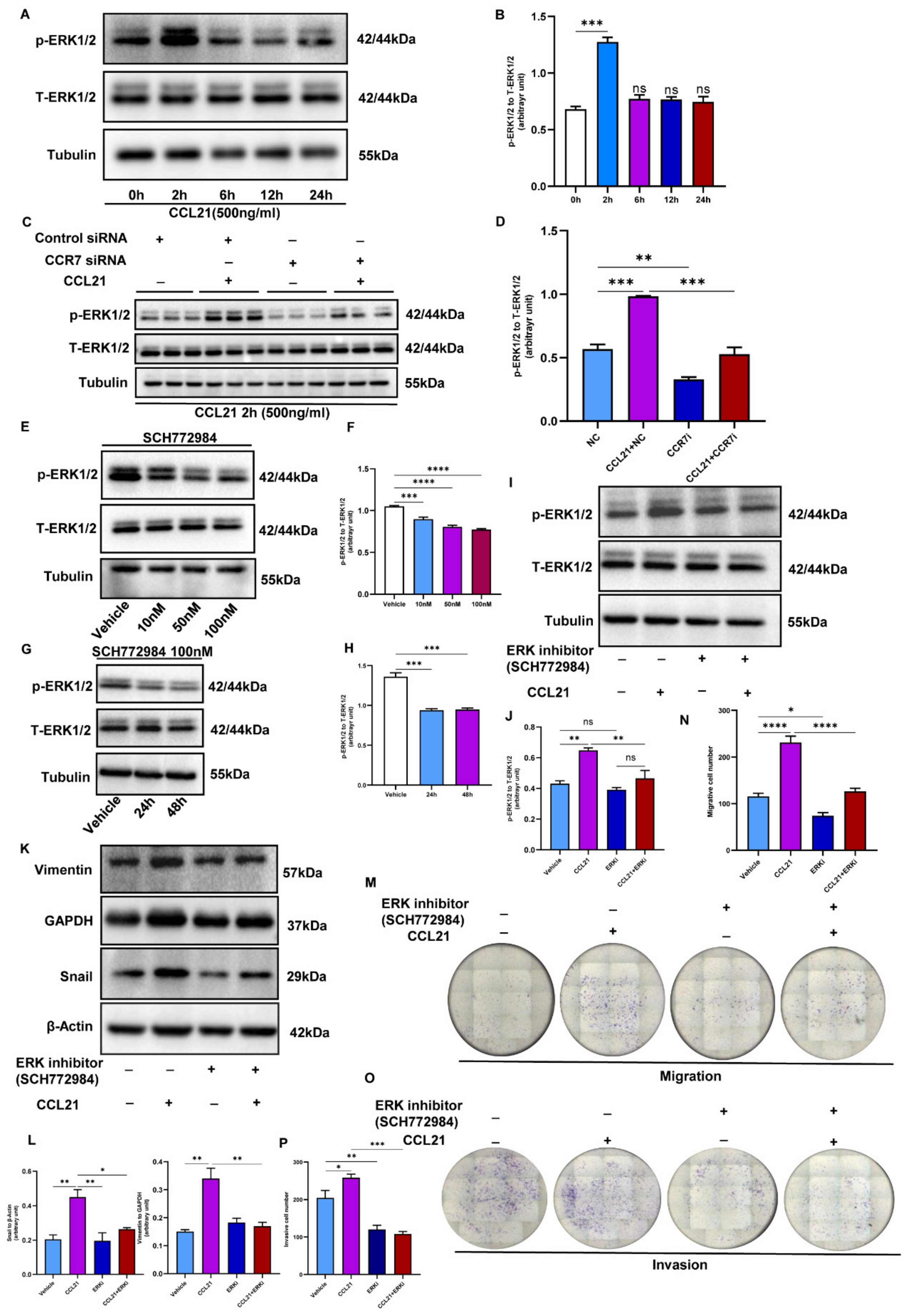 Biology 12 00150 g007