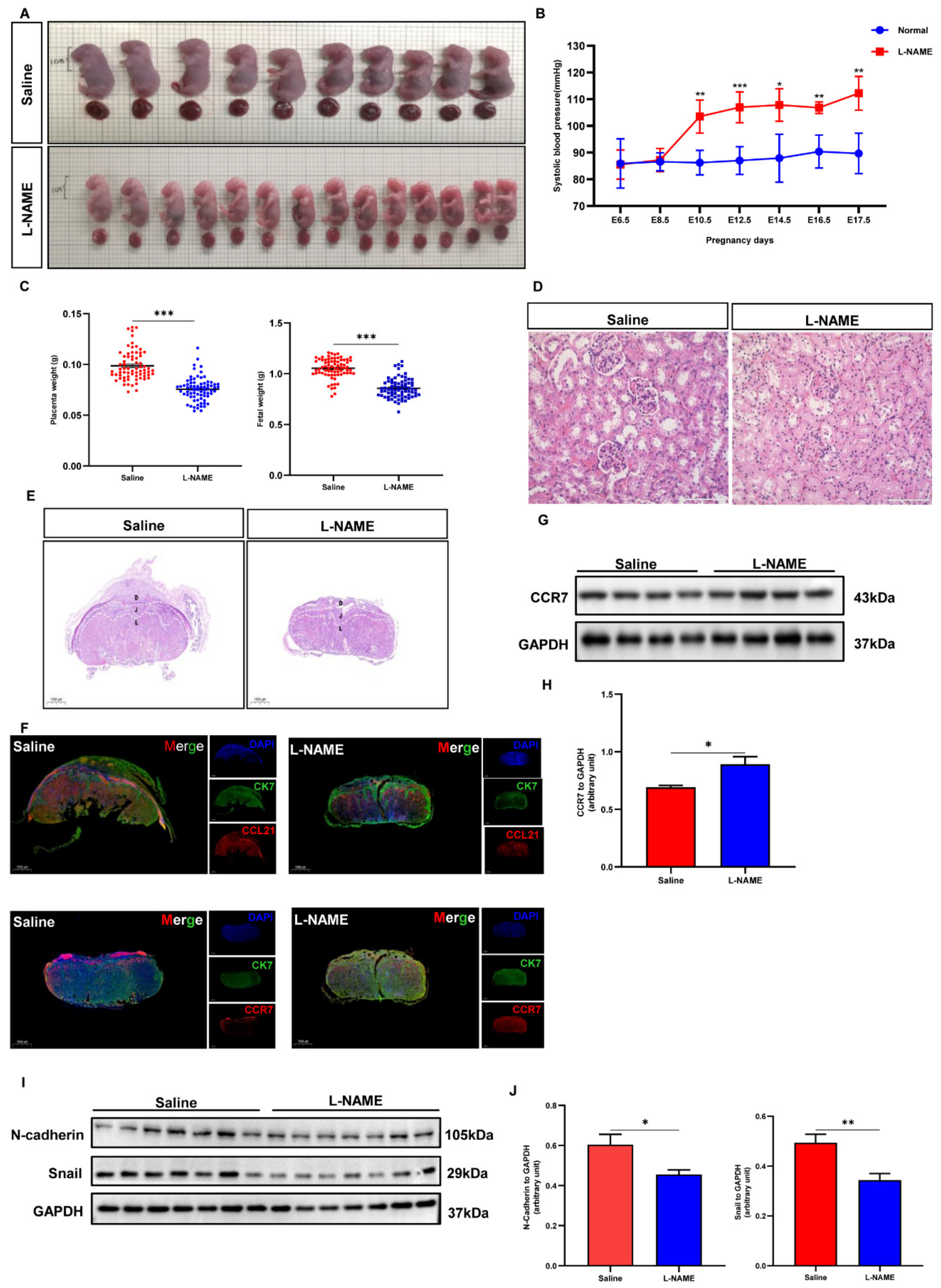 Biology 12 00150 g008